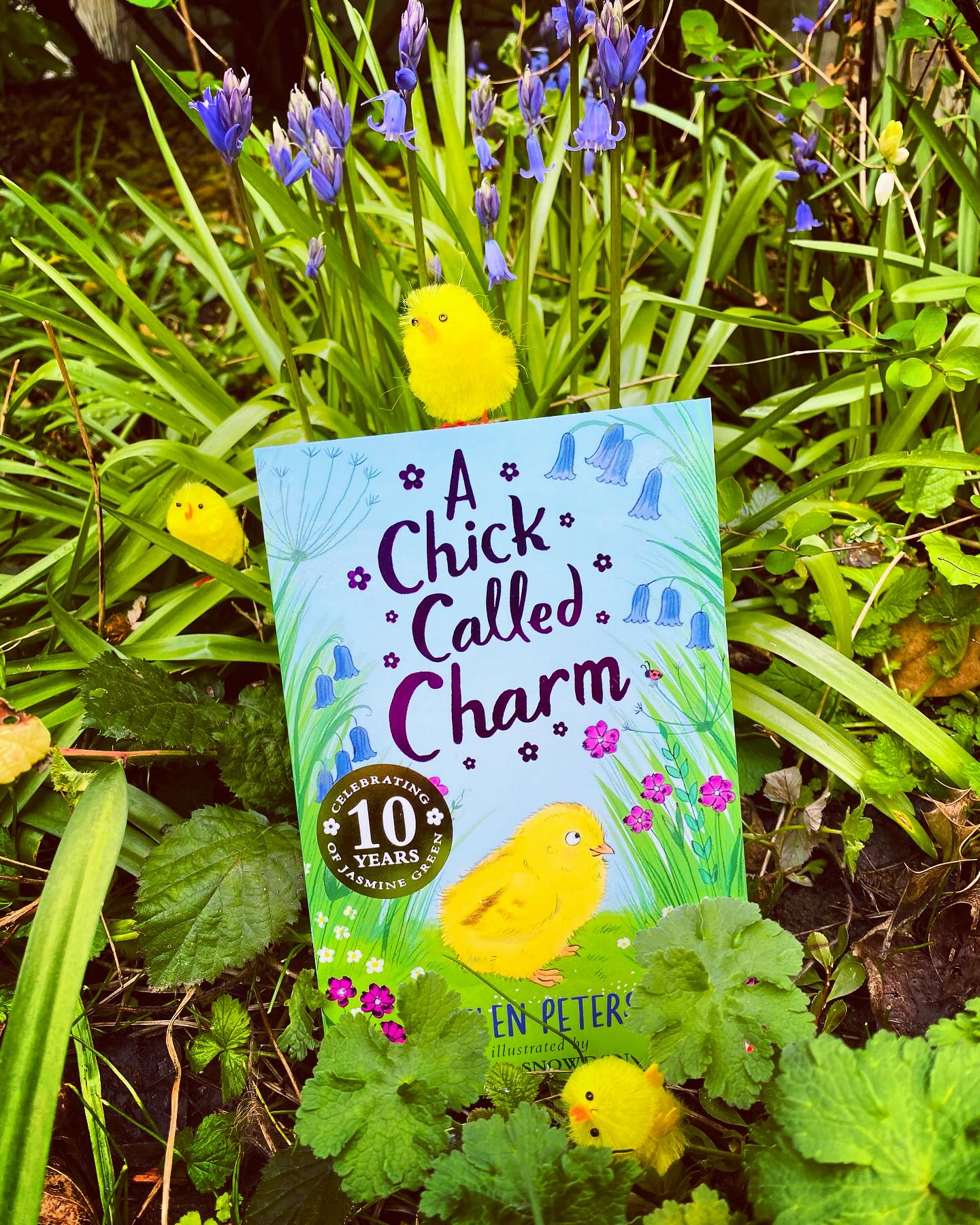 If you’re looking for an Easter gift for an animal-loving child, A Chick Called Charm by me and @snowdon_illo, published by @nosycrow, could be your answer!
And if you’d like to come along to a A Chick Called Charm event, I’ve got a few coming up:
Writing workshops for children at @steyning_bookshop this Wednesday 1st April - see steyningbookshop.co.uk for booking details.
Book signing at @childrensbookshoplondon in Muswell Hill on Saturday 25th April 2-3pm. No need to book, just come along. Hope to see you there!
I’ll be doing an event at Lewes Speakers Festival for Kids on Sunday 10th May, 11.15-12. Tickets at speakersfestivals.com. Come along and hear about the inspiration for A Chick Called Charm, discover how a book gets made, and test your chicken knowledge in a chicken-themed quiz! Books will be available at the event from @bagsofbookslewes