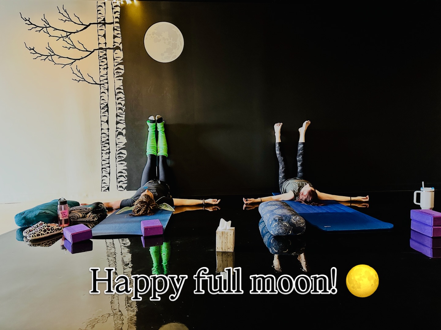 This moon is asking us to ground to connect strongly with our intuition so we can see what is most important to release with this moon as our ally. What shift needs to happen in our inner and/or outer world to successfully nourish the seeds we’ve been planting for this upcoming potent year? Our class schedule is different this week, which feels so aligned in the way it landed. If you’re feeling this energy and the need to release and ground, Goddess Somatic Alchemy is happening at 5:30 tonight and we will piece in an optional fire release ceremony after moving through a somatic release practice to shake whatever “it” is out of our bodies. Our regularly scheduled Yin class is happening afterwards at 7 for some grounding/integration time. These can be booked on our site! 🌹🌕💞💫🙏🏻 If you are drawn to energy work, witchcraft , female empowerment, sisterhood, the moon… you’ll likely enjoy this greatly 🤗 #energywork #somatichealing #witchcraft #fullmoon #divinefemininerising