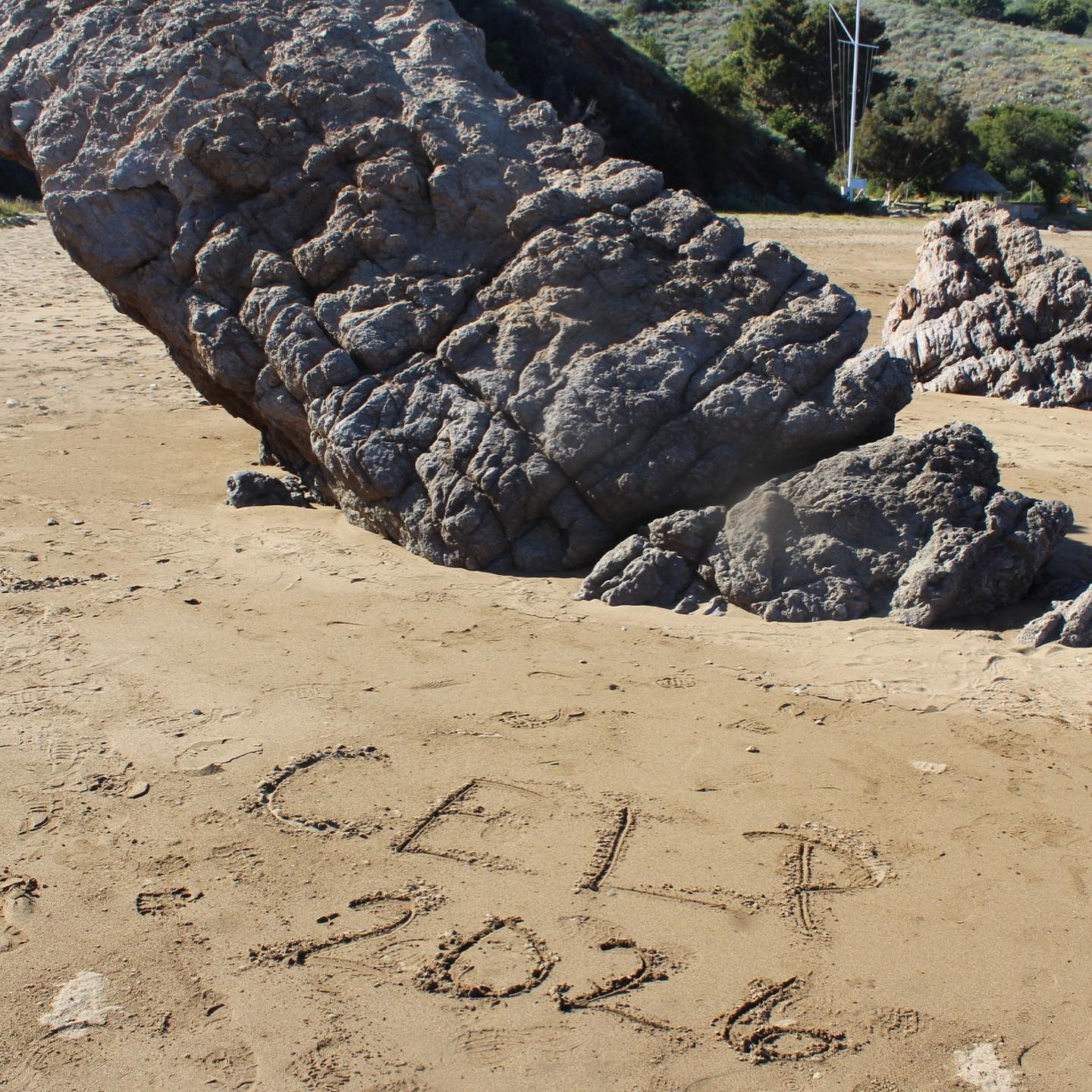 Week 5 recap!! Tons of great work done by our groups, a week full of focus and fun ☀️