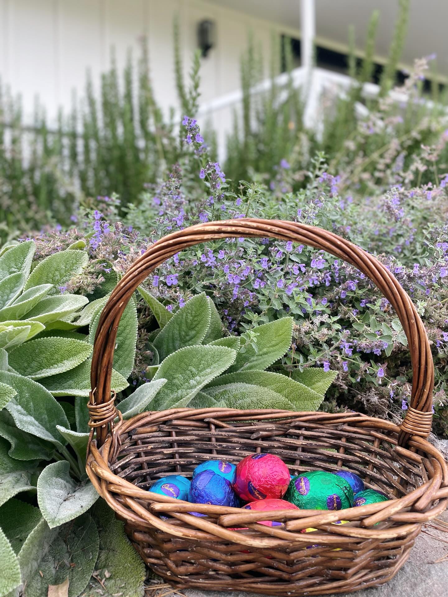 Happy Easter 🐰🤎