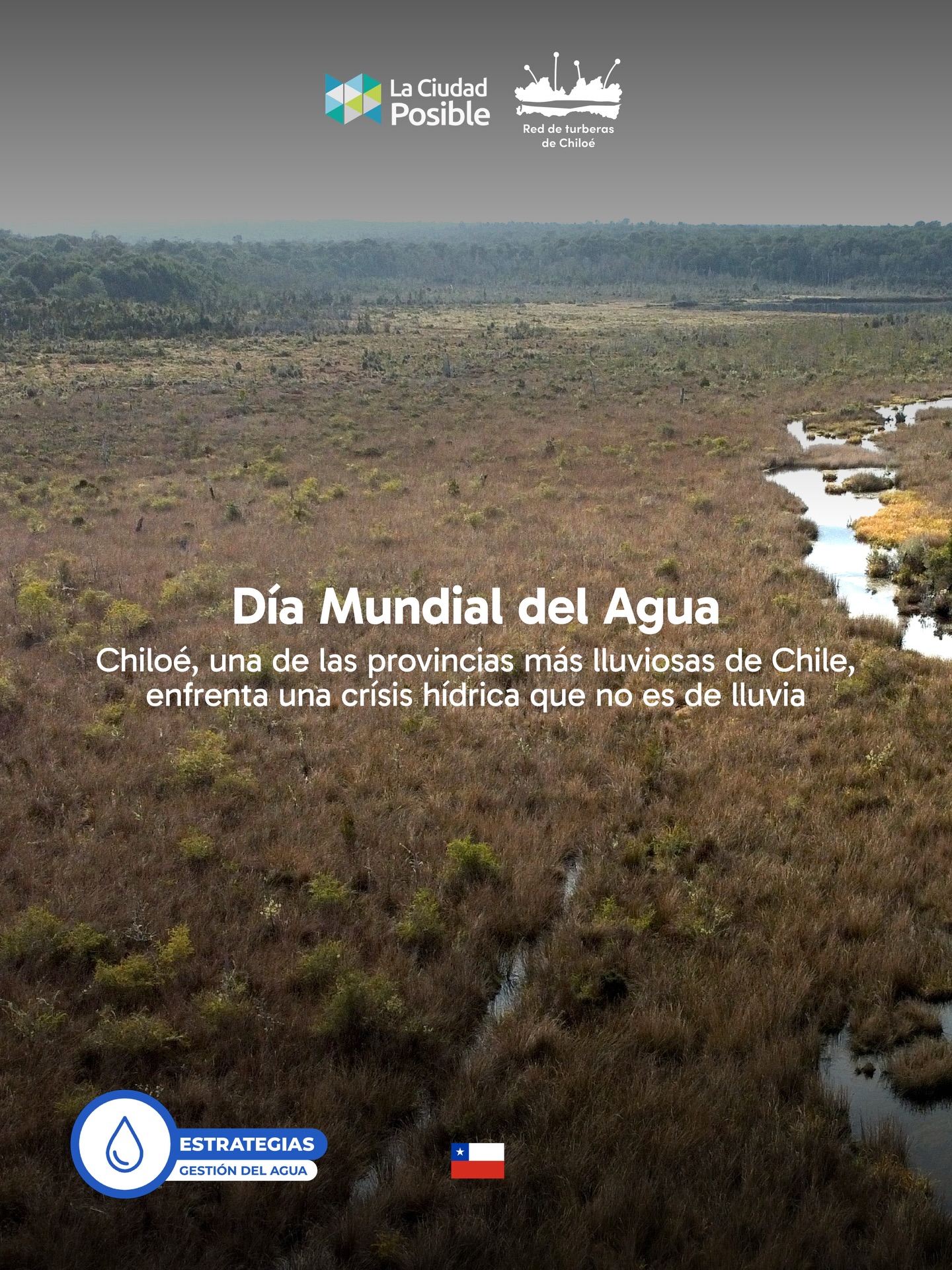 🚨Chiloé, una de las provincias más lluviosas de Chile, enfrenta una crisis hídrica que no es de lluvia
Las turberas destruidas, el bosque nativo perdido y los suelos degradados explican por qué el agua de lluvia deja de estar disponible en verano.
Pero las soluciones también están en el territorio. En este #DíaMundialdelAgua, el desafío es claro: recuperar la capacidad del paisaje de retener el agua que la lluvia trae.
Desde La Ciudad Posible y la Red de Turberas de Chiloé trabajamos para articular soluciones junto a quienes viven y cuidan los territorios.
📱Conoce más en el enlace en nuestras historias.