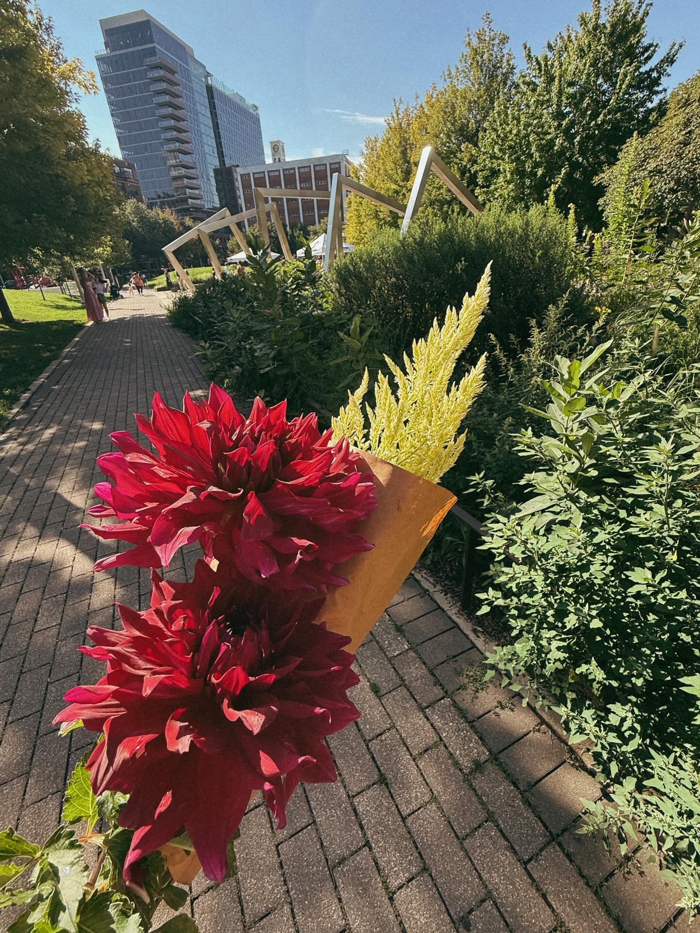 r e a d y for spring!!
may is open for extension consults + appointments 💌 #chicago #summer #chicagoextensions #flowerstagram