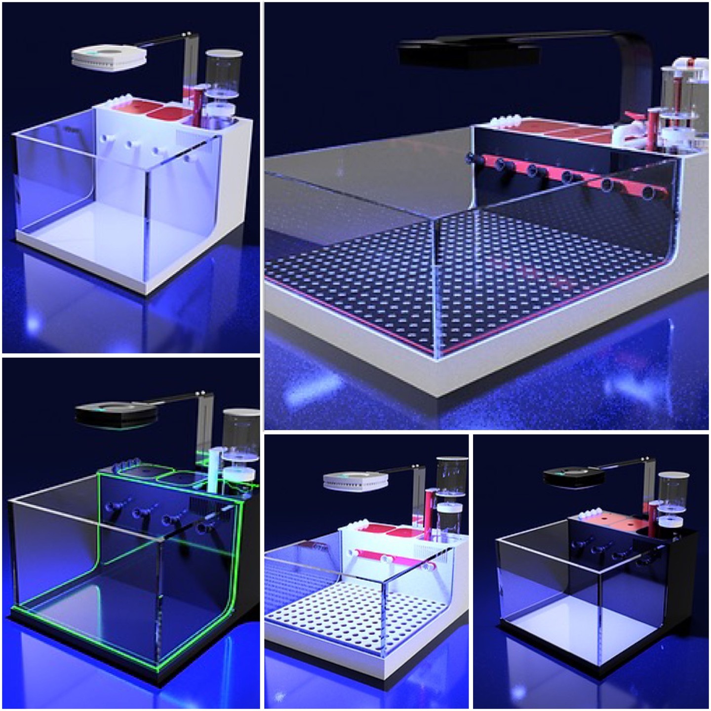 🚨 STOCK ALERT! 🚨
Everything you see here is IN STOCK and ready to ship within a week! Our stunning acrylic aquarium systems are built to perfection and waiting for their new homes.
From nano frag tanks to large display systems, we've got the engineered flow, the precision build, and the next-level design you've been dreaming about. Don't sleep on this – grab yours while stocks last! 🔥
🌊 Shop now:
🇪🇺 https://www.thepolyppros.eu
🇬🇧 https://www.thepolyppros.co.uk
#thepolyppros #customaquarium #fragtank #reefkeeping #aquariumdesign #acryltank #marinereef #coralkeeper #reefaddict #aquascaping #customtank #aquariumsetup #reefnerd #allmymoneygoestoreef #aquariumhobby #reeflife #customdesign #aquariumtank #marinereef #reefkeeper #coralfarm #aquariumaccessories #3dprintedaccessories #aquariumflow #reefkeepersofinstagram #aquariumcommunity #ilovemyjob #reefkeepinglife #aquariumlove #nextlevelreef