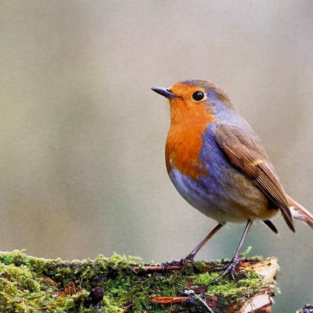 Derek loves to support likeminded entrepreneurs like @oliverhellowell_photographerds and so we just received our awesome post cards with his beautiful photography!
Oliver has an amazing story so please check out his work and give him a follow!!
#supportsmallbusiness #businesssupportingbusiness #downsyndromeawareness #photography #naturephotography #supportdisabledartists