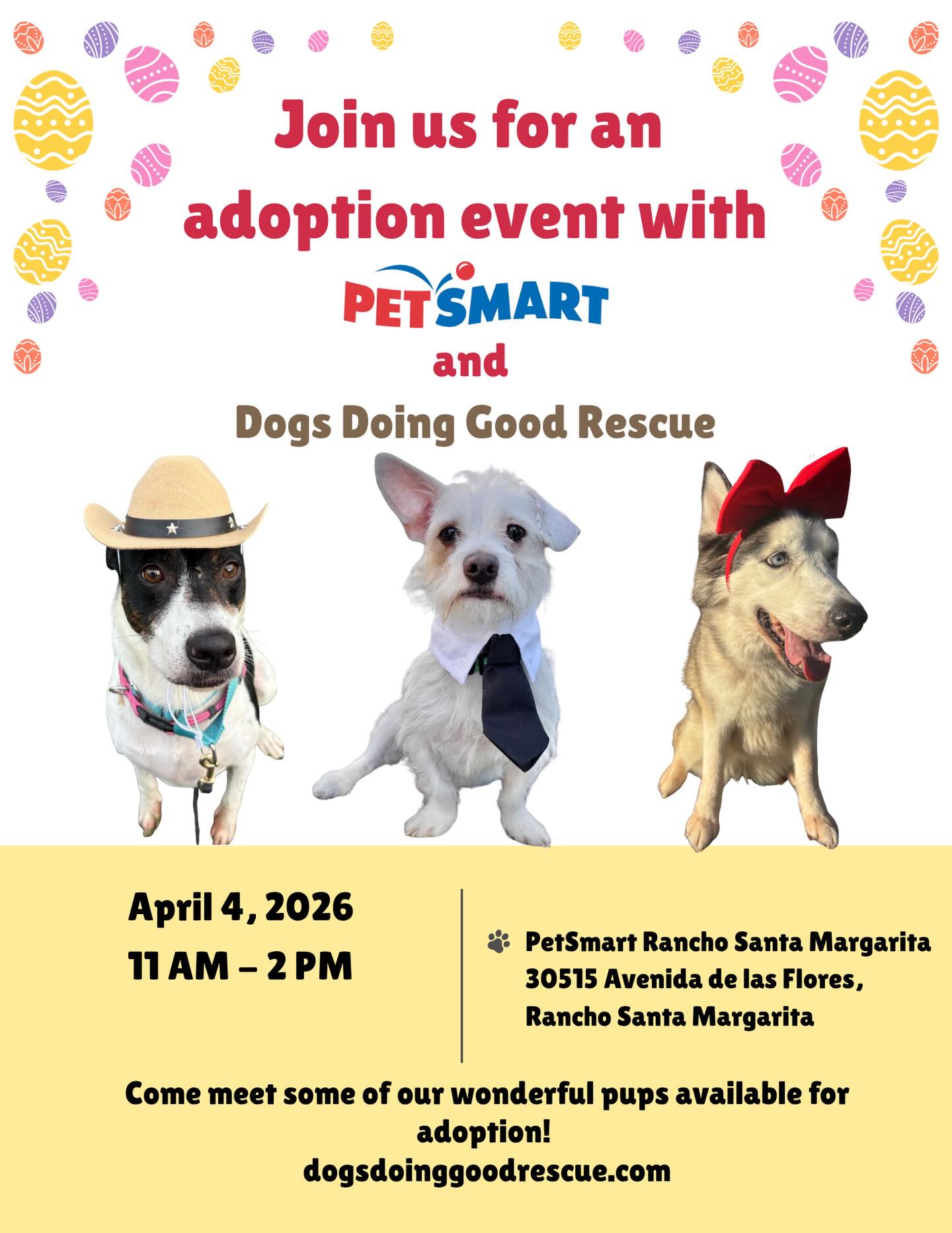 Missed our adoption event last week? We’d love to see you this weekend! 🐾
Join us at PetSmart in Rancho Santa Margarita to meet some of our sweet pups who are ready to find their forever homes. There’s nothing better than puppy cuddles and maybe even meeting your new best friend 🐶
🐾 Saturday, April 4th
🐾 11:00 AM – 2:00 PM
📍 30515 Avenida de las Flores, Rancho Santa Margarita, CA
Whether you’re looking to adopt or just want to stop by and say hi, we’d be so happy to see you there! 💕
Thank you @petsmart.1227 for this opportunity and helping rescue dogs looking for their forever families. We are so grateful! 🫶🏽