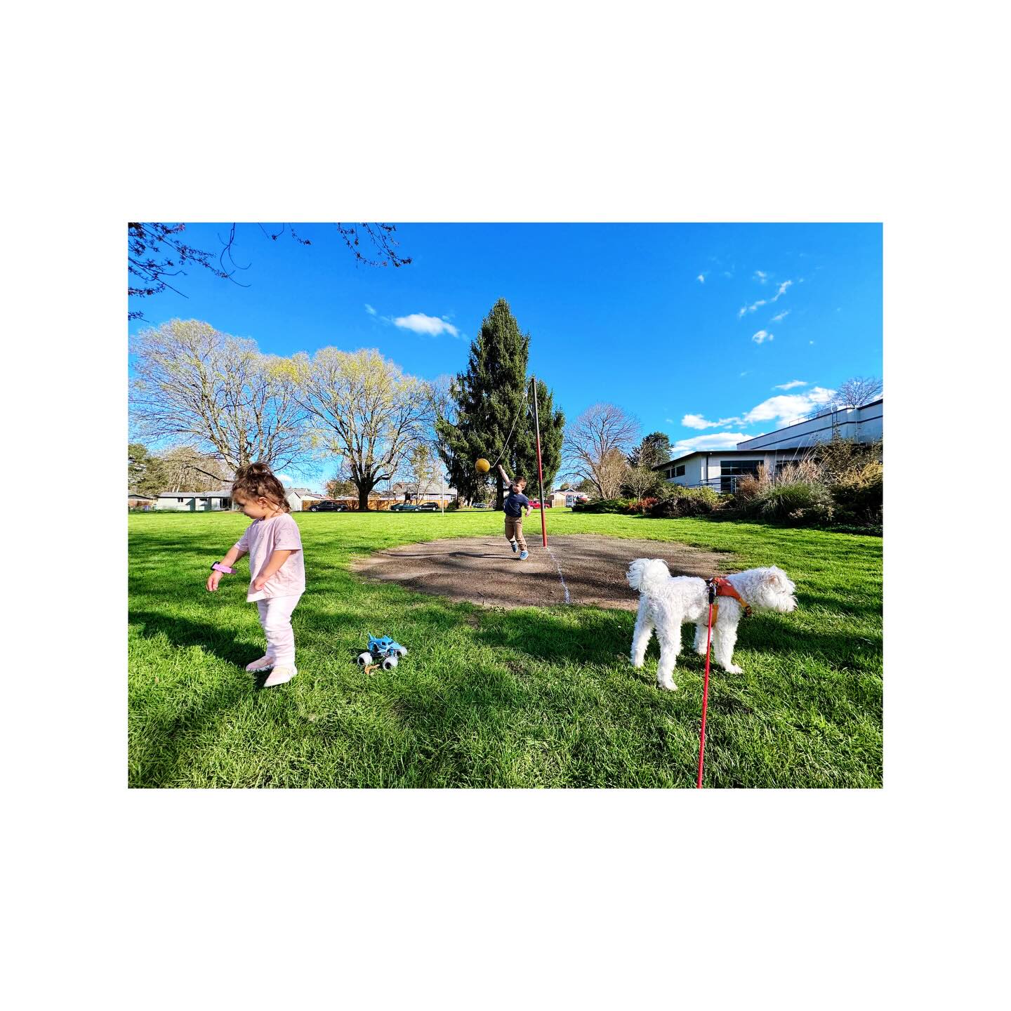 The Trinity.
(And a shark @monsterjam monster truck)
#family #familyfunday #dogsofinstagram #portlandspring #mom