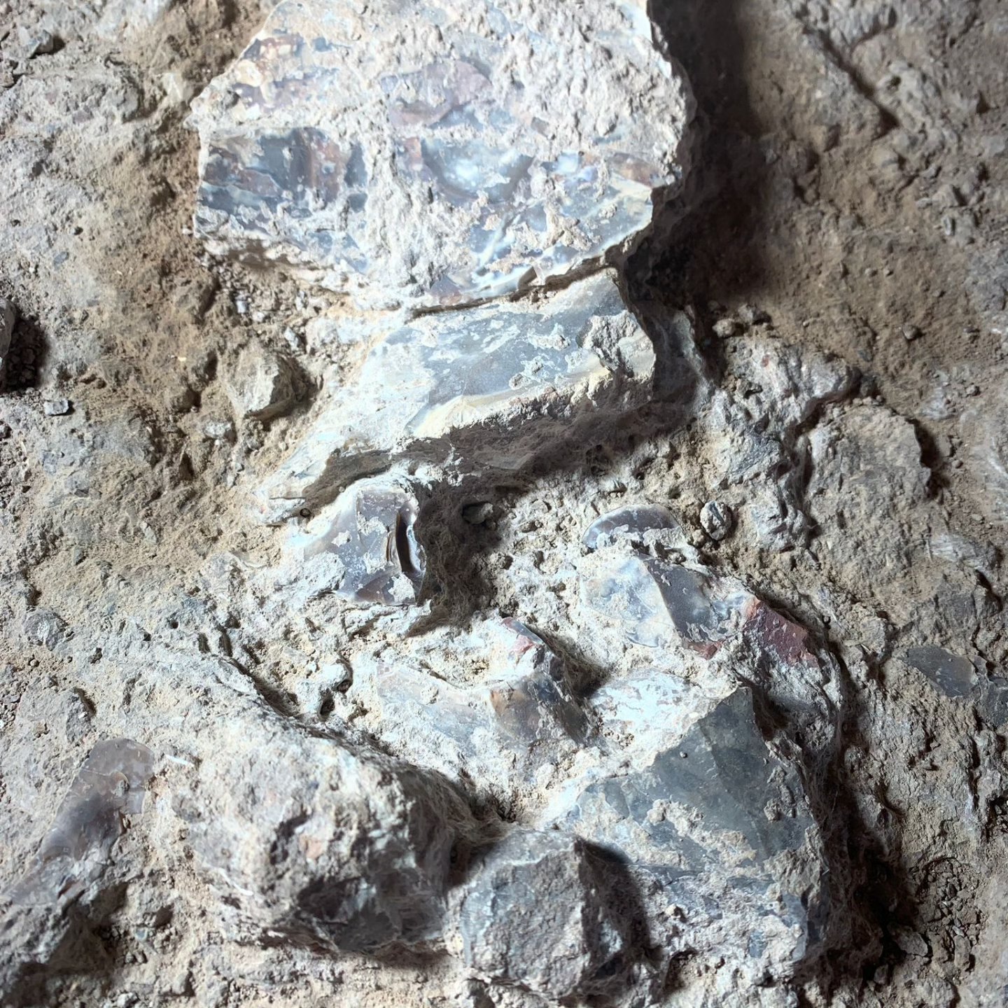 Photo dump from the last weeks at Tinshemet Cave π₯
Still four weeks to go π
#excavation
#paleolithic
#flintknapper
#neanderthal
#homosapiens