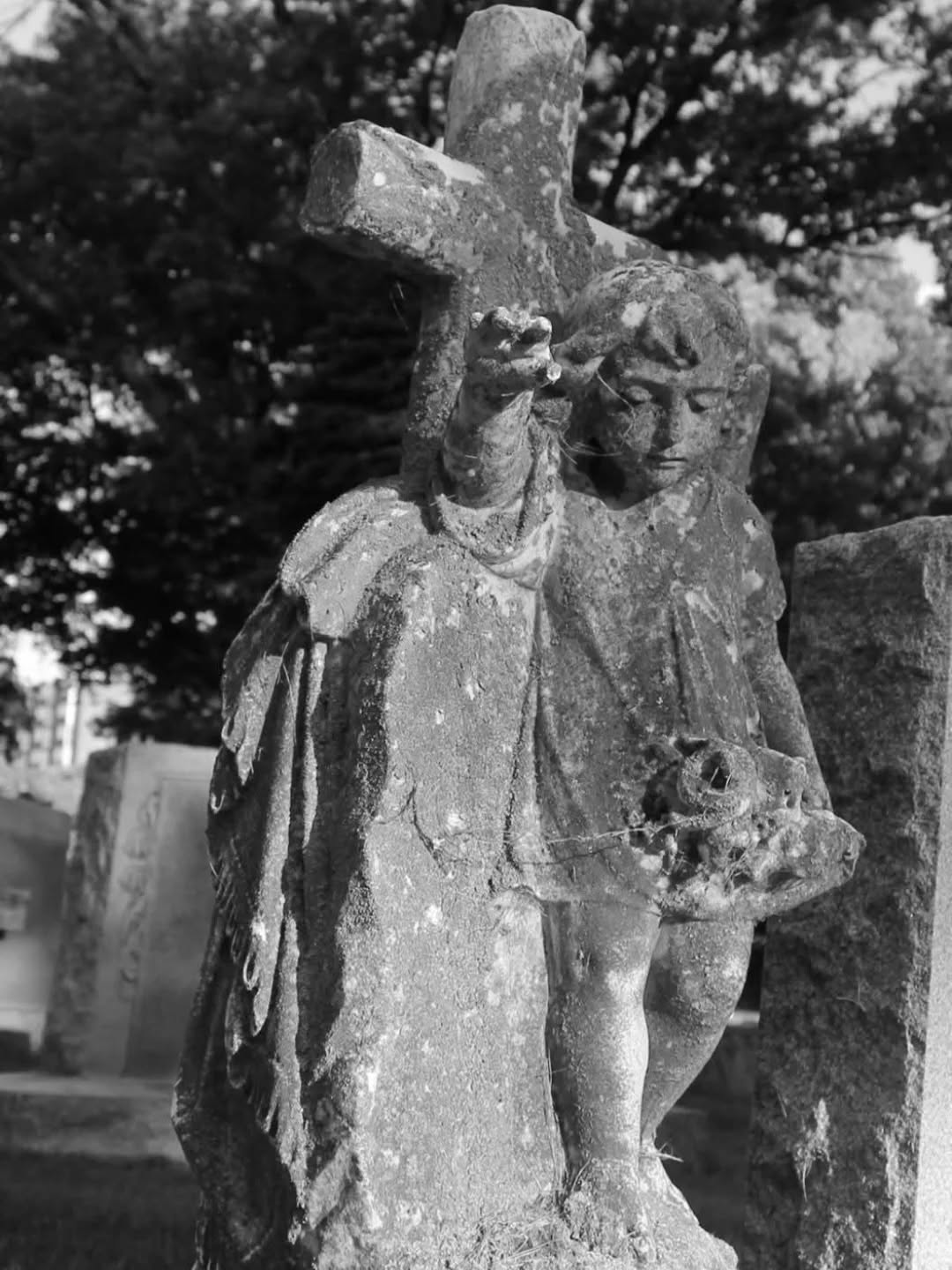 Bluff City Cemetery, Elgin, IL
#bluffcitycemetery #cemeteryphotography #tombstonetravels #cemeterytravels #cemetery_lens