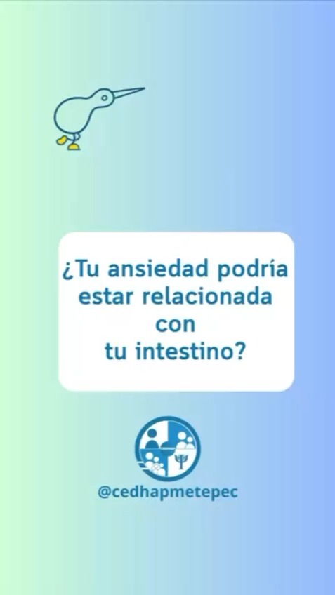 Tu mente no solo está en tu cabeza… también está en tu intestino
La microbiota intestinal juega un papel clave en cómo te sientes emocionalmente. Ansiedad, tristeza, irritabilidad… muchas veces también tienen un origen biológico.
Por eso, sanar no es solo “echarle ganas”.
Es entender tu cuerpo, escuchar tus emociones y acompañarte en un proceso profundo.
La psicoterapia te ayuda a integrar todo: mente, cuerpo y emociones
Agenda tu cita. Tu bienestar empieza desde adentro.