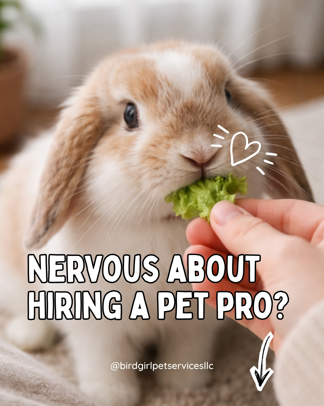 If you’re nervous about hiring someone to care for your exotic pet, that’s understandable.
Birds, reptiles, rabbits, and small mammals rely heavily on consistency.
During initial visits, we focus on:
• Observing behavior before interacting
• Checking environmental setup
• Reviewing equipment performance
• Maintaining normal routine
• Moving at the animal’s pace
Trust isn’t forced.
It’s built gradually.
If you’ve hesitated before booking care, what part of the process feels most uncertain?