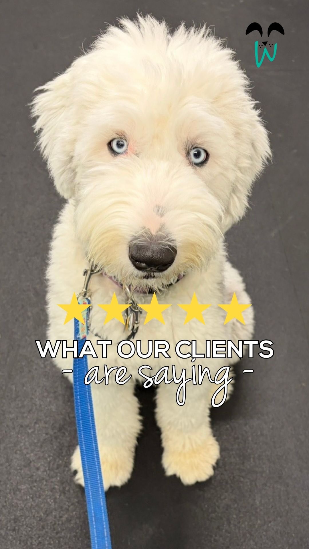 We’re so grateful we got to be part of Evie’s unique journey 🐶
📍 Looking for dog training here in Maine?
🔗 Head to woofworkstraining.com to learn more!
dog training maine • blind dog training • confidence building for dogs • dog behavior support • relationship based training • southern maine dog trainer #WoofWorksTraining #SouthernMaineDogs