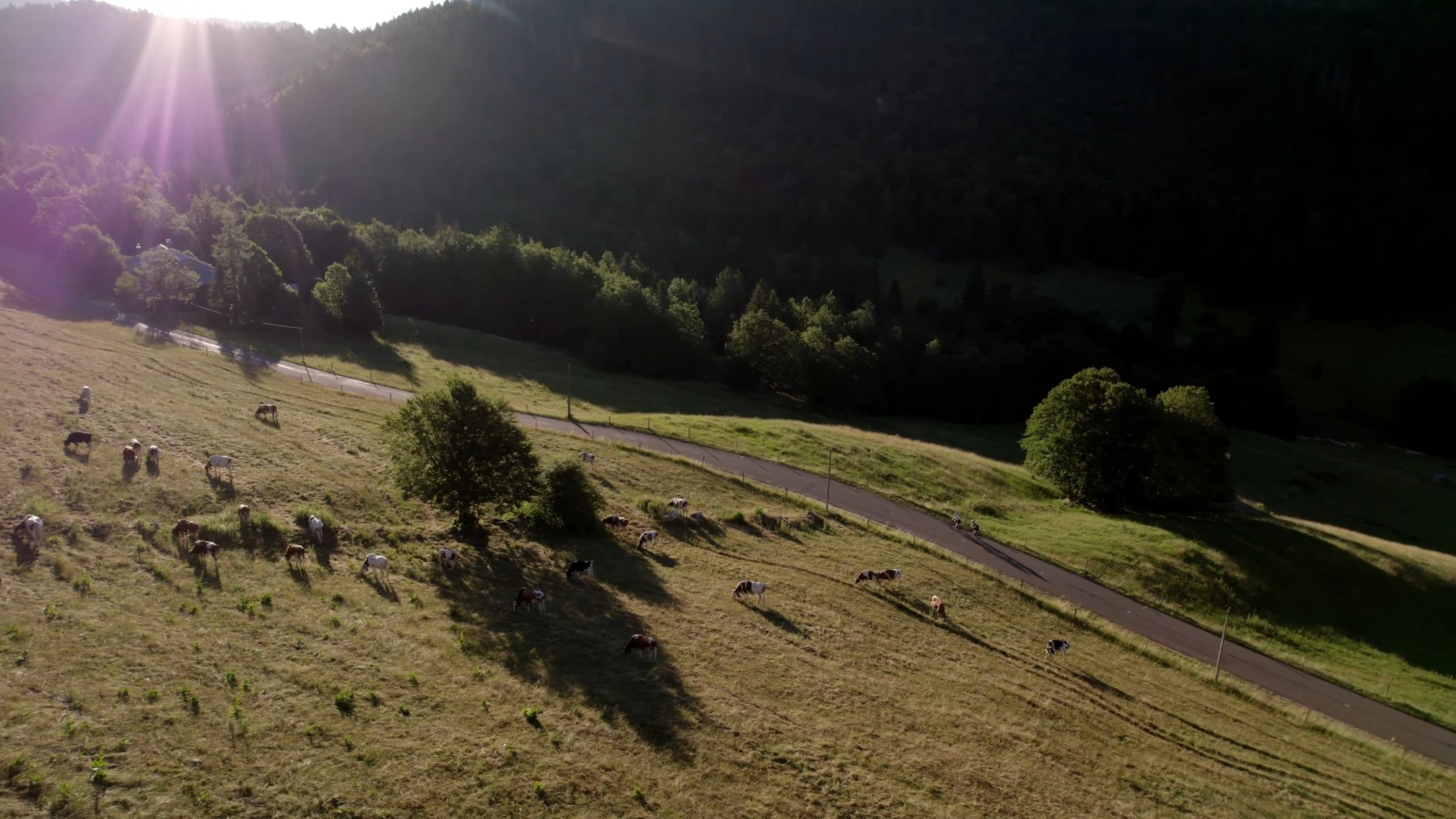🌙 Quelque chose se prépare…
Dans quelques semaines, ils seront au départ pour 300 km de nuit entre Lyon et Genève. 🚴♂️
Une aventure à part, entre dépassement de soi, gestion de l’effort et expérience unique sur le vélo.
Le compte à rebours est lancé…
👉 Inscriptions ouvertes sur Sport N Connect
⏳ Partie 1
#LyonGeneve #UltraCycling #Cyclisme #Avelo #teaser