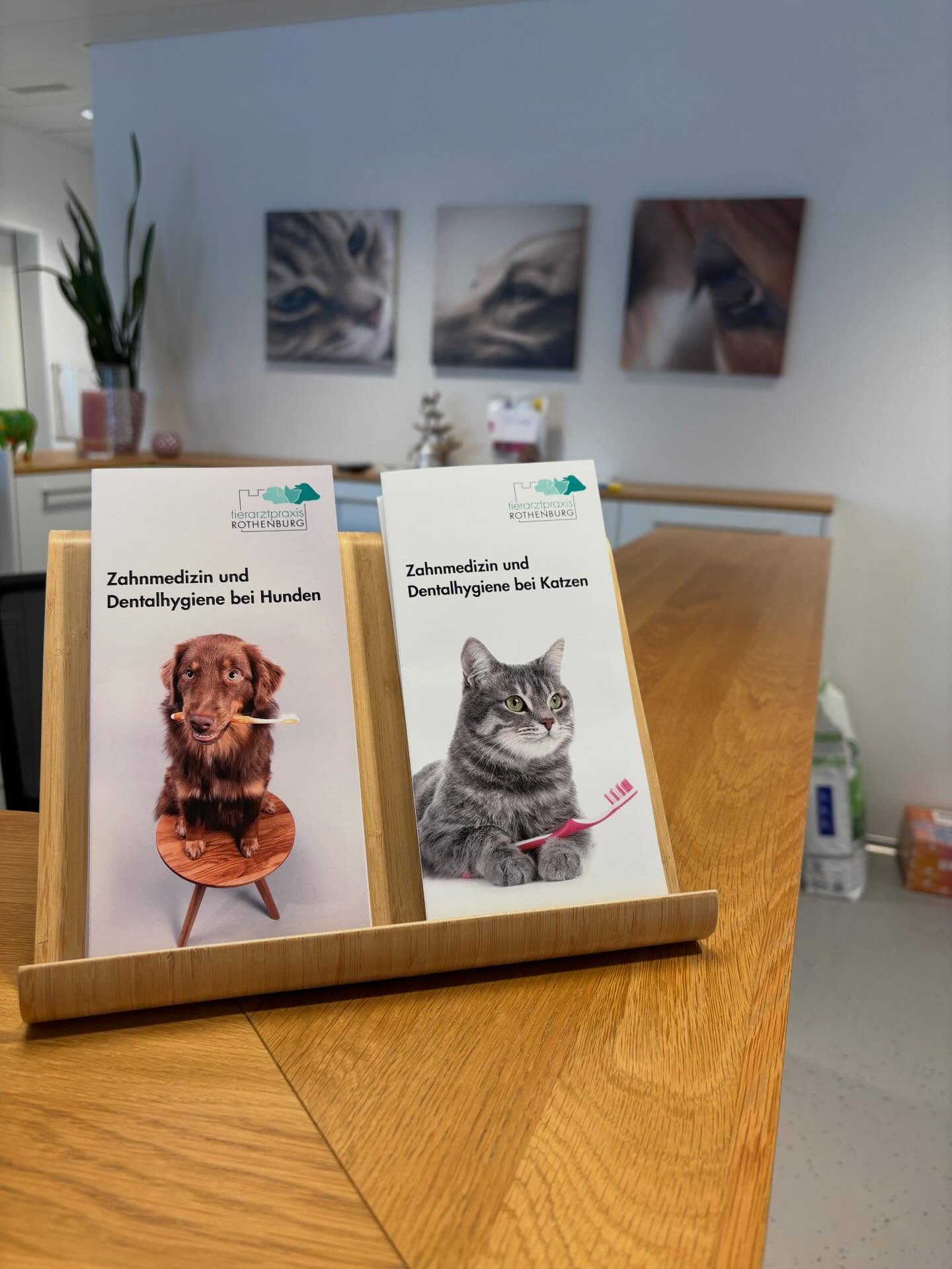 Unsere neuen Zahnflyer sind da! Sie liegen am Empfang für Euch und Eure Lieblinge bereit.
@tierarztpraxis_rothenburg
#zahnpflege #hundezähne #katzenzähne #zahnoperation #zahngesundheit