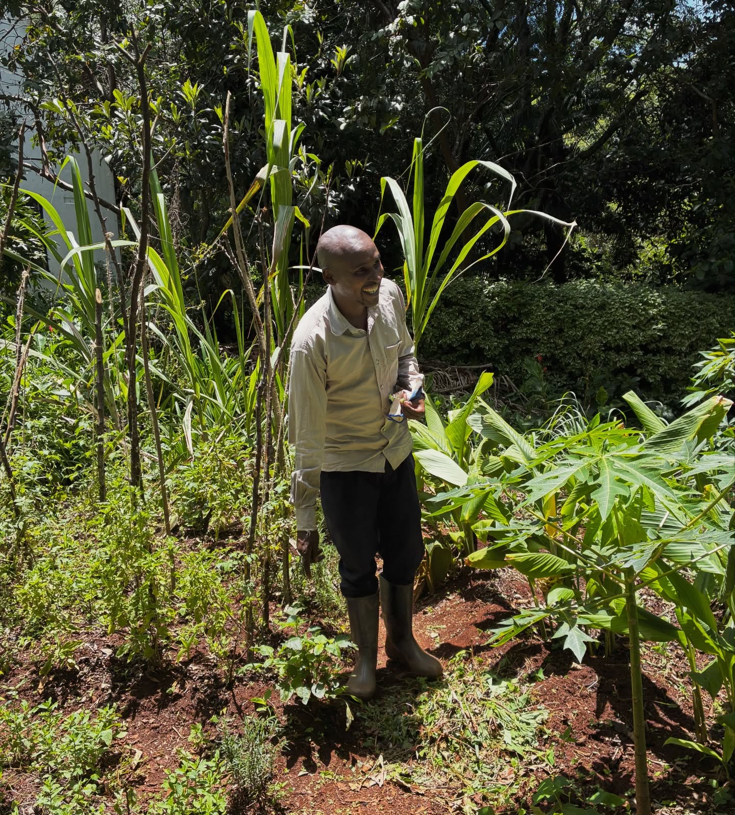 So inspiring working with this enthusiastic group from @wajukuu_artists_collective 🌾
There’s so much curiosity around the herbs growing here, we’ve been exploring different varieties and how they can be used in simple, practical ways, especially within the meaningful work they’re doing in Mukuru.
They run a feeding program for large groups of children each week from the area, and a big part of our conversations has been around diversity how to enrich and elevate their meals using what they’re learning and what they’re now growing in this urban garden 🐝