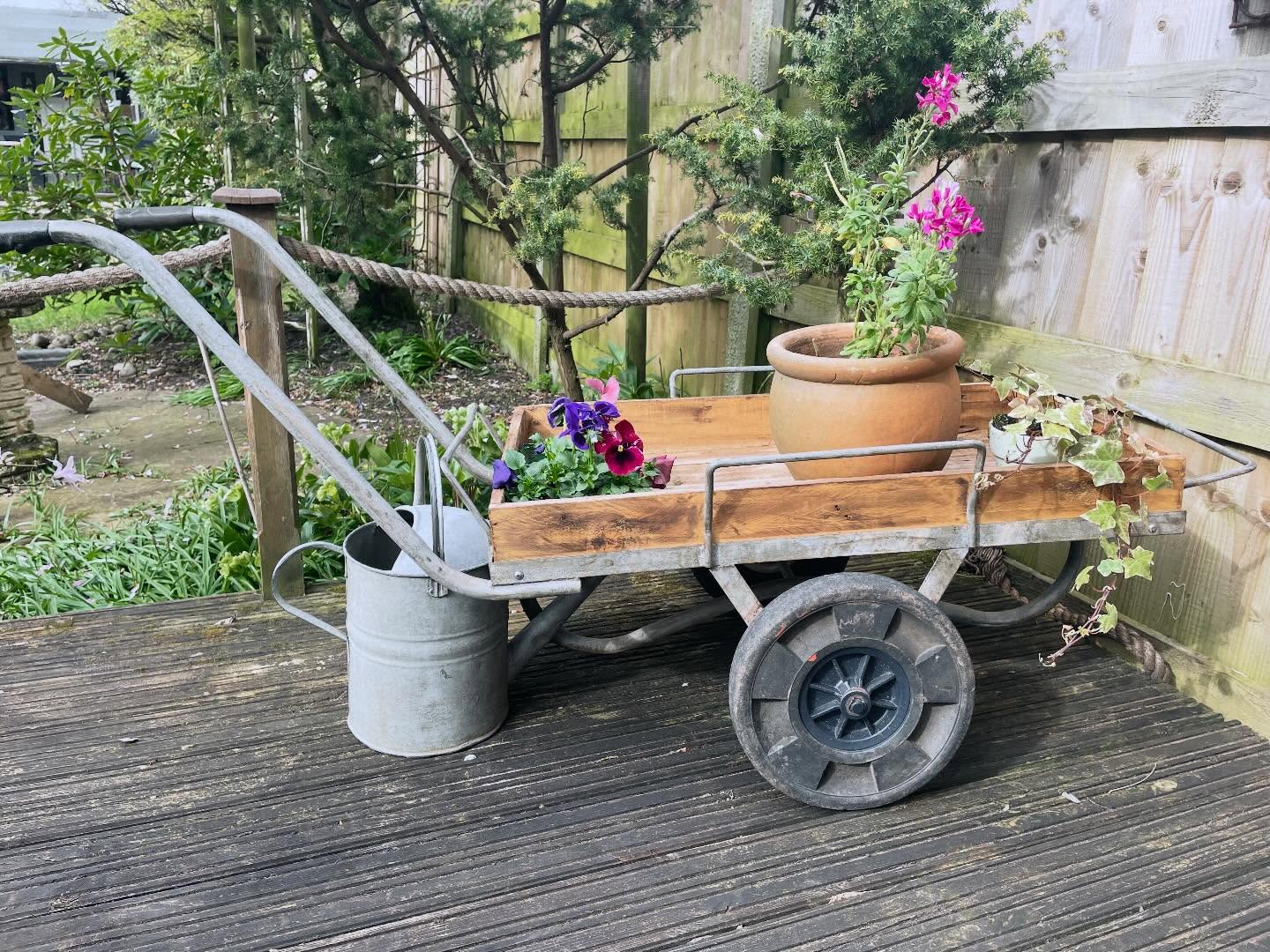 -SOLD-
This fabulous cart is perfect for displaying your favourite plants in the garden 🌷 Metal frame with wooden centre box it has plenty of charm and adds a vintage touch to your outside space.
Also handy for moving heavy pots around it is strong and sturdy with large rubber wheels. It measures 85cm x 45cm ( wooden tray) Length including handles 160cm W60cm £95
#woodencart #gardencart #plantdisplay #plantholder #vintagegarden