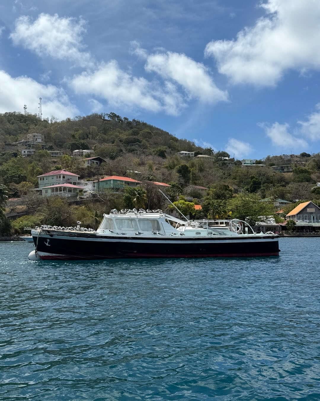 We have just left the ‘very Caribbean’ island of Bequia famous historically for its whaling. It’s an interesting and busy anchorage but this boat luckily is attracting all the birds ! We went to Mac’s for lobster but they had run out, however we did catch yet another lovely sunset - neither of us keen to return to UK particularly.