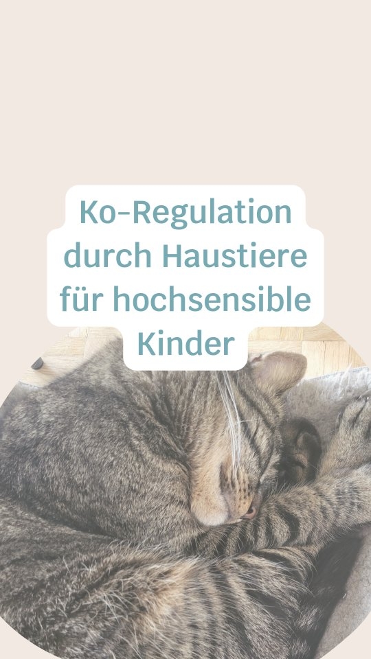 Wutausbrüche von hochsensiblen Kindern können extrem sein. Meist ist die Ursache Reizüberflutung und ein Signal für "mir ist gerade alles zu viel".
Deshalb geht es in meinen Workshops und Coachings auch oft um Regulation und Co-Regulation, wie das funktioniert und wie du sie am besten im Alltag integrierst.
Du bekommst in meinem Workshop "Mein Kind ist hochsensibel" neben viel Wissen zum Thema Hochsensiblitität bei Kindern also auch viele Strategien und Tools, die euch den Alltag als Familie erleichtern können.
➡️geh auf mein Profil, klicke auf den Link und dann auf Workshops und melde dich noch heute an!
Herzlich, Jacky 🦋
#hochsensibilität #hochsensibel #hochsensiblekinder #sensibel #neurodivergent
COACHING
BERATUNG
HOCHSENSIBILITÄT
EMOTIONSREGULATION
STRESSREGULATION
ABGRENZUNG
POTENTIAL
SELBSTVERTRAUEN
MINDSET