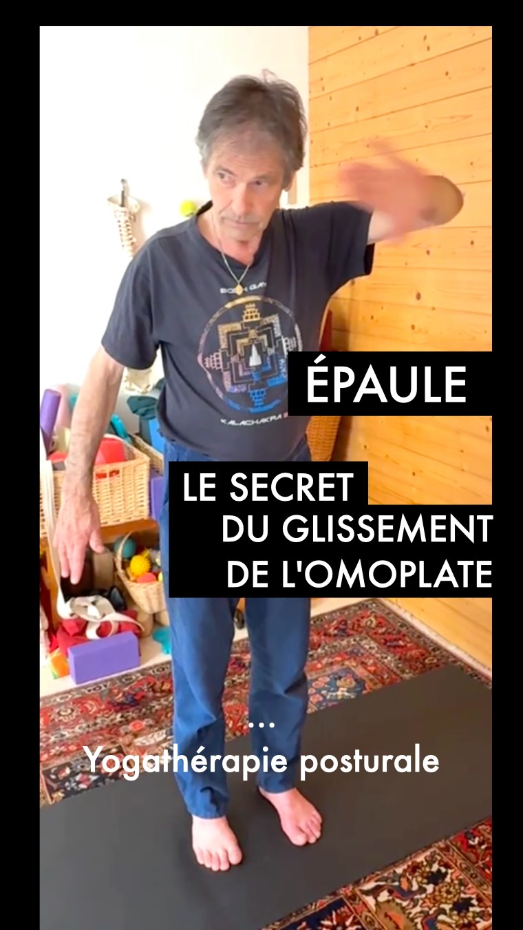 L’ÉPAULE : COMPRENDRE L’INVISIBLE
Pourquoi voyez-vous ici Serge, debout face à un mur pour un exercice qui semble si ‘simple’ ? 🧱🤔
Parce que la prévention des pathologies de l’épaule à cause du Yoga ne s’apprend pas dans la difficulté d’une posture avancée, mais dans l’isolement d’un mouvement précis et en sécurité.
1/ Isoler pour intégrer :
Si vous ne maîtrisez pas ce glissement de l’omoplate debout, votre épaule sera ‘verrouillée’ dès que vous mettrez du poids sur vos bras. C’est là que l’usure commence. ⚙️⚠️
2/ En dépliant le coude sans bloquer l’épaule, on libère l’articulation. On évite le ‘pincement’ des tendons.
3/ Du mur au tapis : Une fois ce code mécanique intégré face au mur, il devient un automatisme protecteur dans toutes vos postures, même les plus intenses. 🏗️🛡️
Le Yoga n’est pas une performance, c’est une ingénierie du vivant au service de votre santé. 🐊🚀
🎥 Extrait du bilan postural Yoga personnalisé d’Agnès :
Un des exercices spécifiques que nous lui avons proposé
Prenez soin de votre architecture. ✨Cath & Serge Yogathérapie Posturale
#YogaTherapie #epaule #Anatomieappliquée #biotensegrite #CathEtSergeYoga