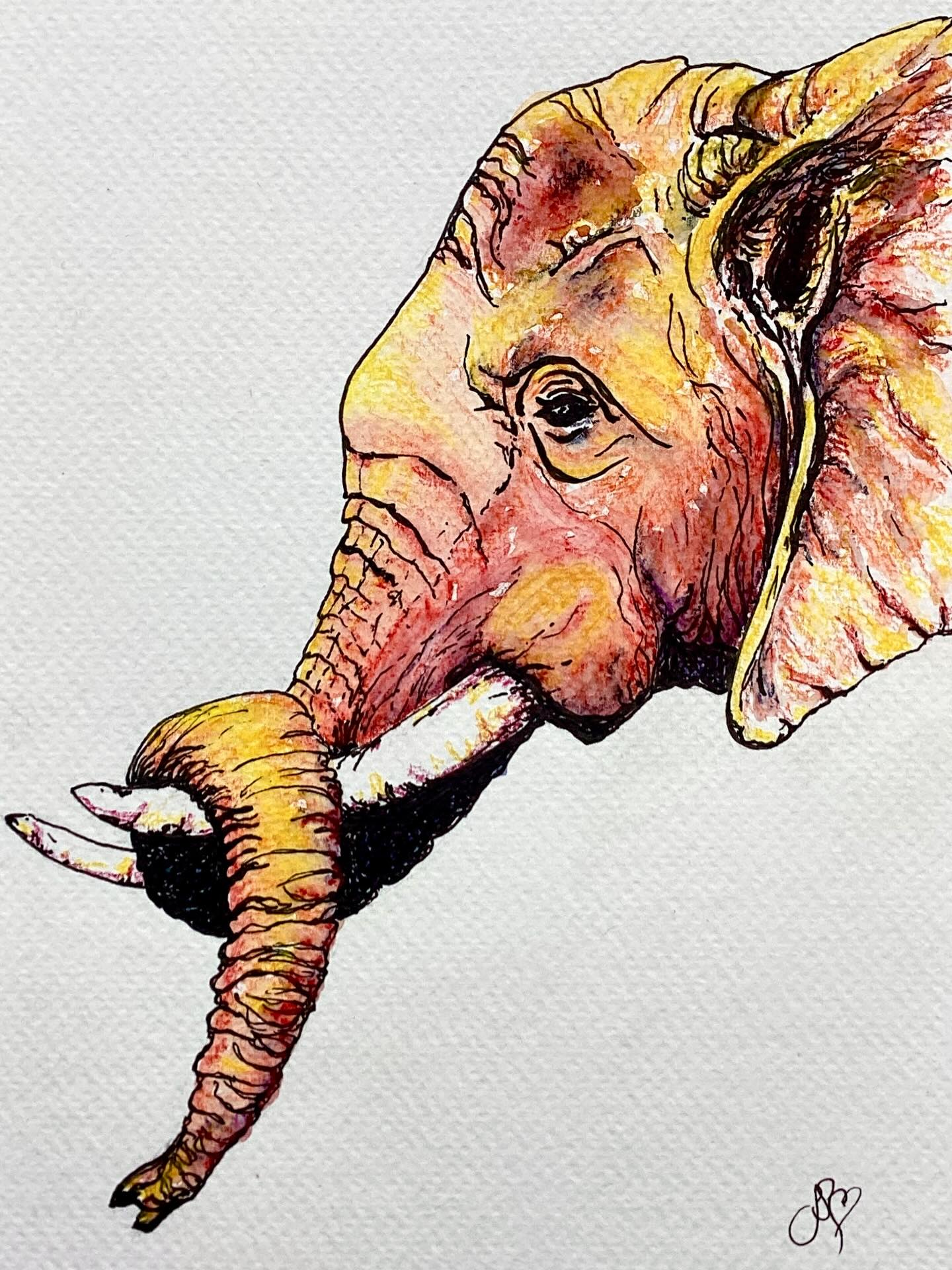 The Big Elephant auction has begun ! ‘You do You’ and ‘The Elephant Parade’ are my contributions to this wonderful herd for the work of conservation charity @explorersagainstextinction
They are all A5 postcard size original paintings which together will hopefully help to raise an elephant size fund for their elephant projects this year - You can bid from now and they will be sent to anywhere in the world for you. The link is in my bio 🐘❤️🐘
‘You do You’ is from a fabulous reference video with thanks to @harryblakeyphotography It is pen and ink and Derwent watercolour inktense - you can see in the video the colours coming to life. This is one of my favourite recent paintings ❤️
The Elephant Parade is a sketch staying true to the original idea for #sketchforsurvival as poachers were killing elephants every 26 minutes for their ivory, artists were asked to paint or sketch an elephant painting in 26 minutes to help raise funds to protect them. Sadly, Kenya and Tanzania are still hot spots for poaching 😢Many people who watch me paint have said they enjoy my sketches so I tried to do a joyful ( nearly continuous line 😂❤️ ) sketch in 26 mins - it did take me slightly longer as I planned it in pencil first to keep that line flowing!
I hope you enjoy looking at all the elephant paintings and wishing you all a happy Easter weekend ❤️
#conservationmatters #elephantlove #elephantpainting
