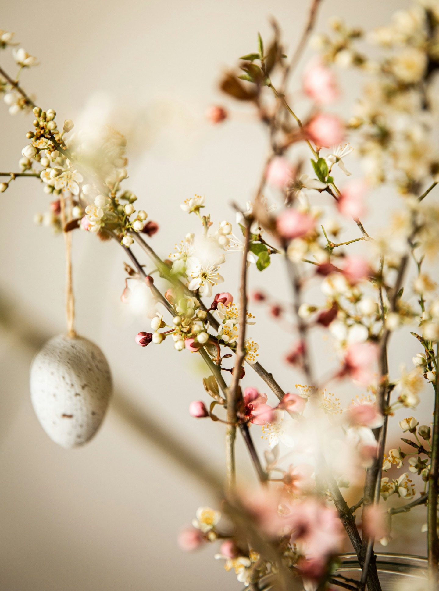 Happy Easter weekend 🐣✨
Looking forward to properly switching off for a few days. The new tax year starts next Monday, so this bank holiday has come at the perfect time to reset & decompress in time for the new tax season ahead.
Have a lovely long weekend 💛