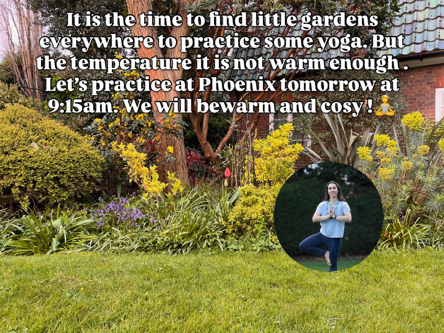 Saturdays at 9:15 am at @phoenixyogaputney