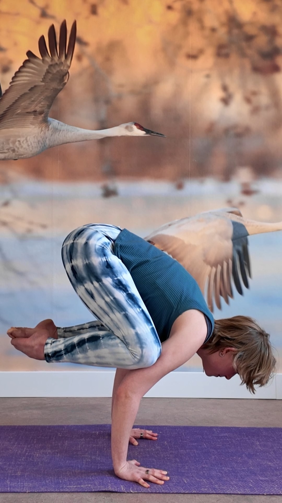 Do this BEFORE trying an arm balance!
#bridgeoflifestudio #bridgeoflife #crowpose #kakasana #armbalance #quickyogatip