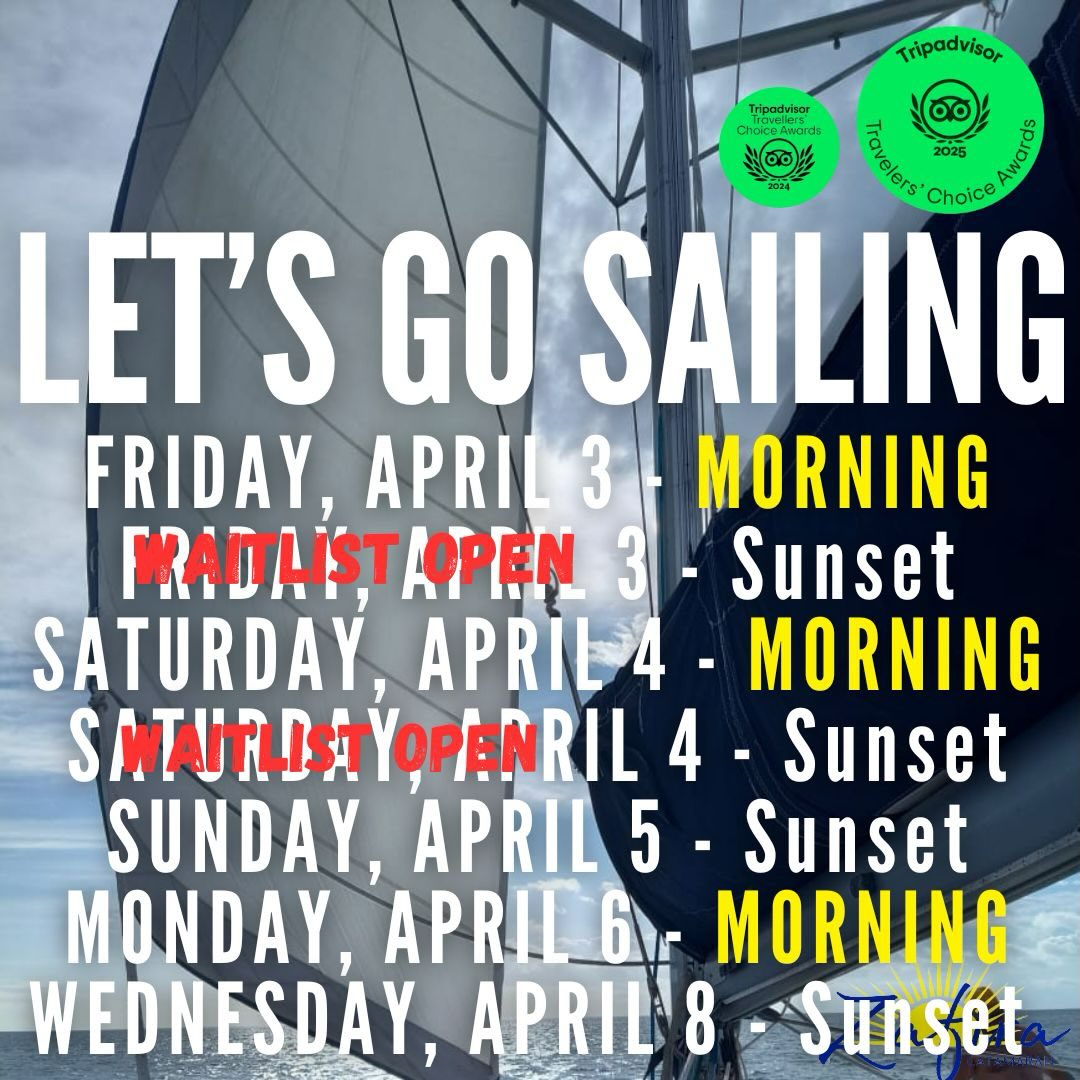 We don’t want you to wait either! 😢
For any of you late planners, we might be able to help you this weekend!
Fastest way to secure your space: www.zafiracostarica.com
🤿 ⛵️ 🌅
#sailingcostarica #zafira #zafiracostarica #zafirasailing #boomerangtours