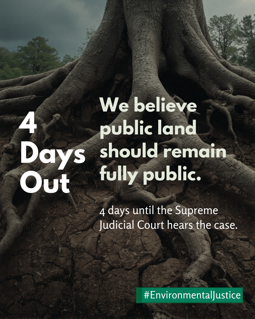 4 Days Out
We believe public land should remain fully public.
4 days until the Supreme Judicial Court hears the case.
#EnvironmentalJustice