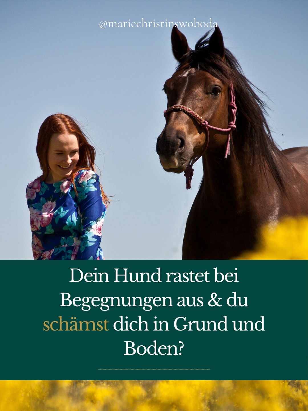Du willst dich nicht mehr schämen, wenn euch jemand entgegenkommt.
Du willst nicht ständig analysieren, was du noch besser machen musst.
Du willst dich sicher fühlen.
Und dass dein Hund sich an dir orientiert, weil er dir vertraut.
Viele Frauen arbeiten am Verhalten ihres Hundes, aber nicht an dem Zustand, aus dem sie versuchen in Verbindung zu gehen.
Und genau dort beginnt echte Veränderung.
Wenn du wissen möchtest, ob euer Thema ein Trainings- oder ein Stabilitätsthema ist, lass uns gemeinsam draufschauen.
Kommentiere TALK und ich sende dir den Link zu einem unverbindlichen 0€ Orientierungsgespräch.
#ReaktiverHund #Nervensystemregulation #BindungStattTraining #StressBeiFrauen #SichereVerbindung
Hund rastet bei Begegnung aus, Nervensystem regulieren Frau, Hund spiegelt Anspannung, Orientierungsgespräch Coaching Hund, innere Stabilität aufbauen