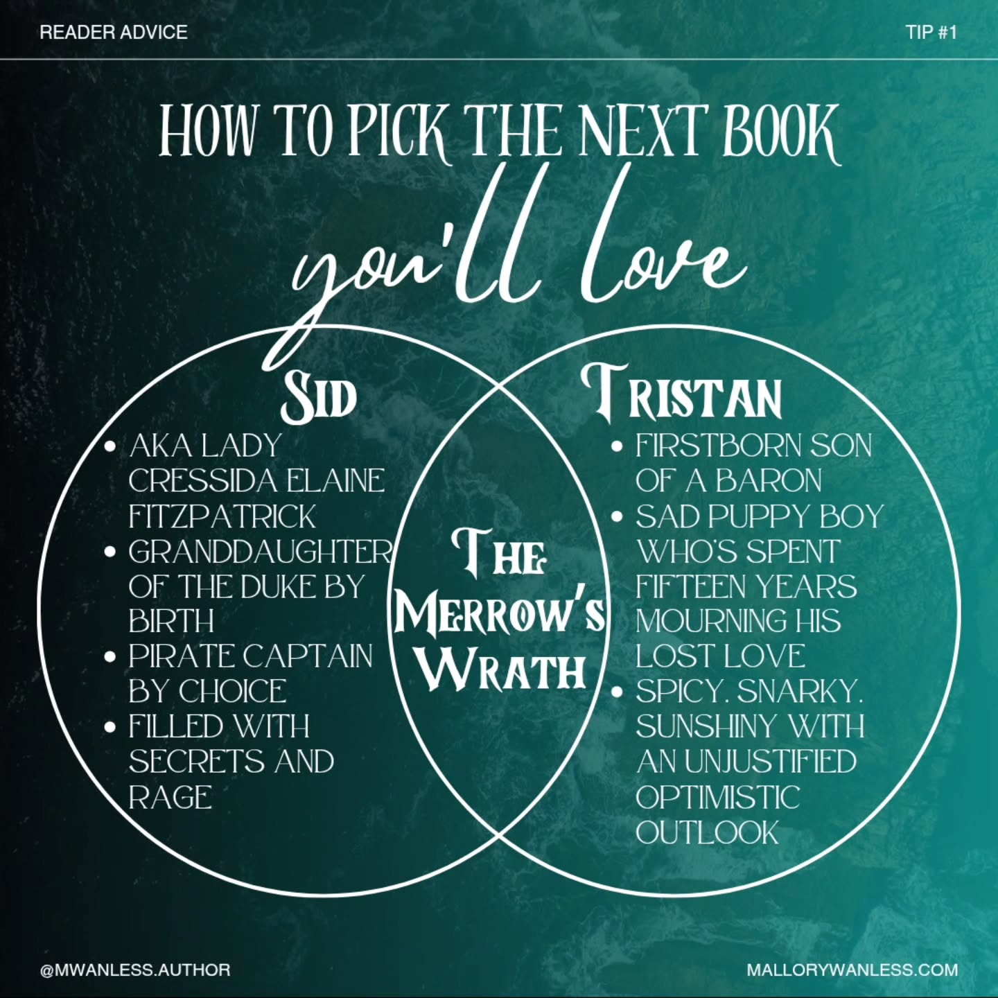 Hands down, the spiciest thing I've written and one I've already told my kids they can't read until they're 30. These two... once they reconnect, they ✨️really✨️ reconnect. But first, they have to get over themselves, and Sid needs to drop that damned steel wall she's built up.
💗Artists are tagged in their character art💗
Map by @kaitlynlewisauthor
☠️🗡🏝
If you like romantasy with:
Found family
Badass FMC
Second-chance romance
Celtic folklore
Revenge
Spicy reunions
Stick around 😉 I've got a story for you!