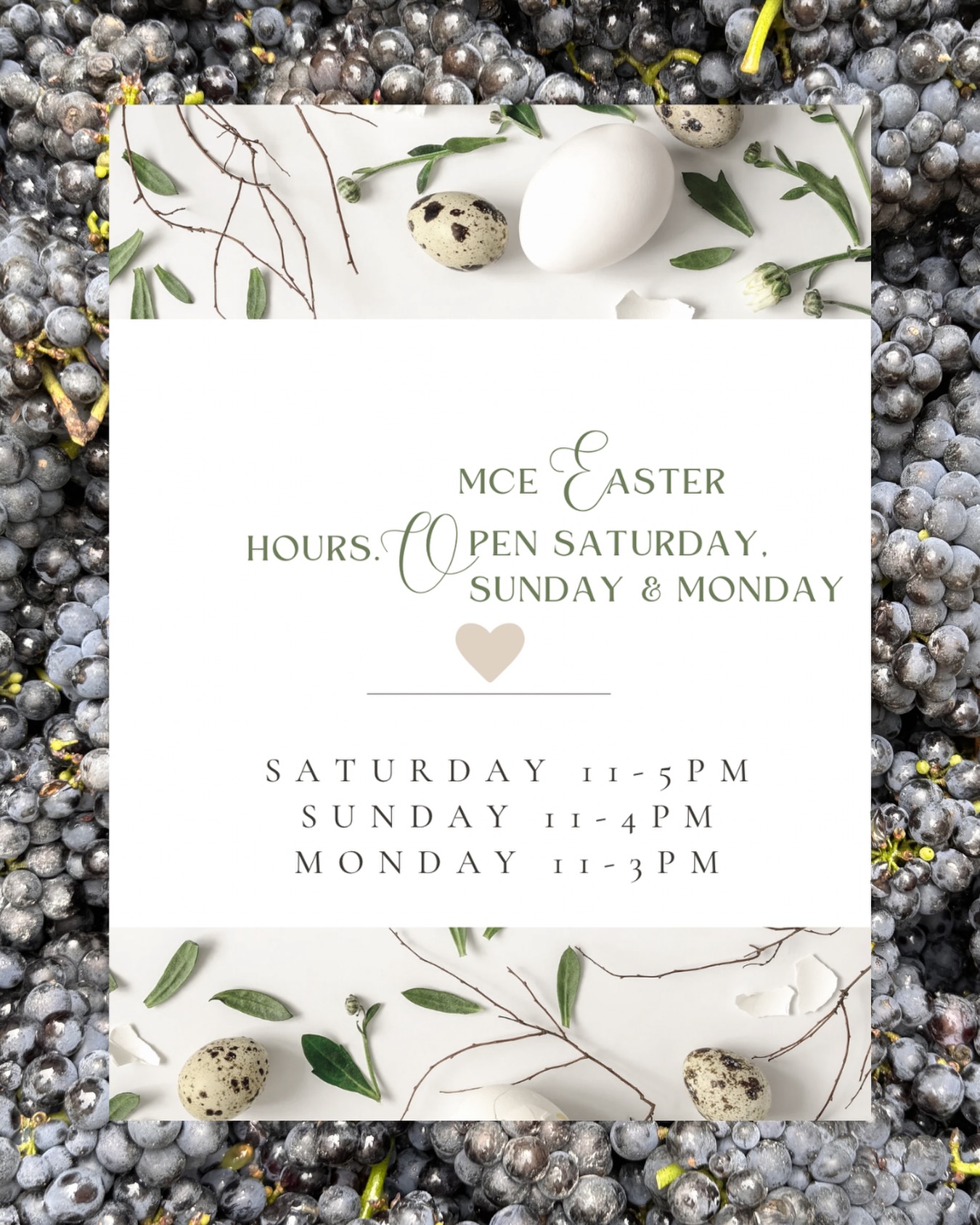 Easter Hours! Staying local this Easter? Come see us at MCE for a wine with a view. All weather barn to get cosy and enjoy a wine and some delicious food options😋 #easterbluemountains #megalongvalley #bluemountainswine #localwine #familyownedandoperated