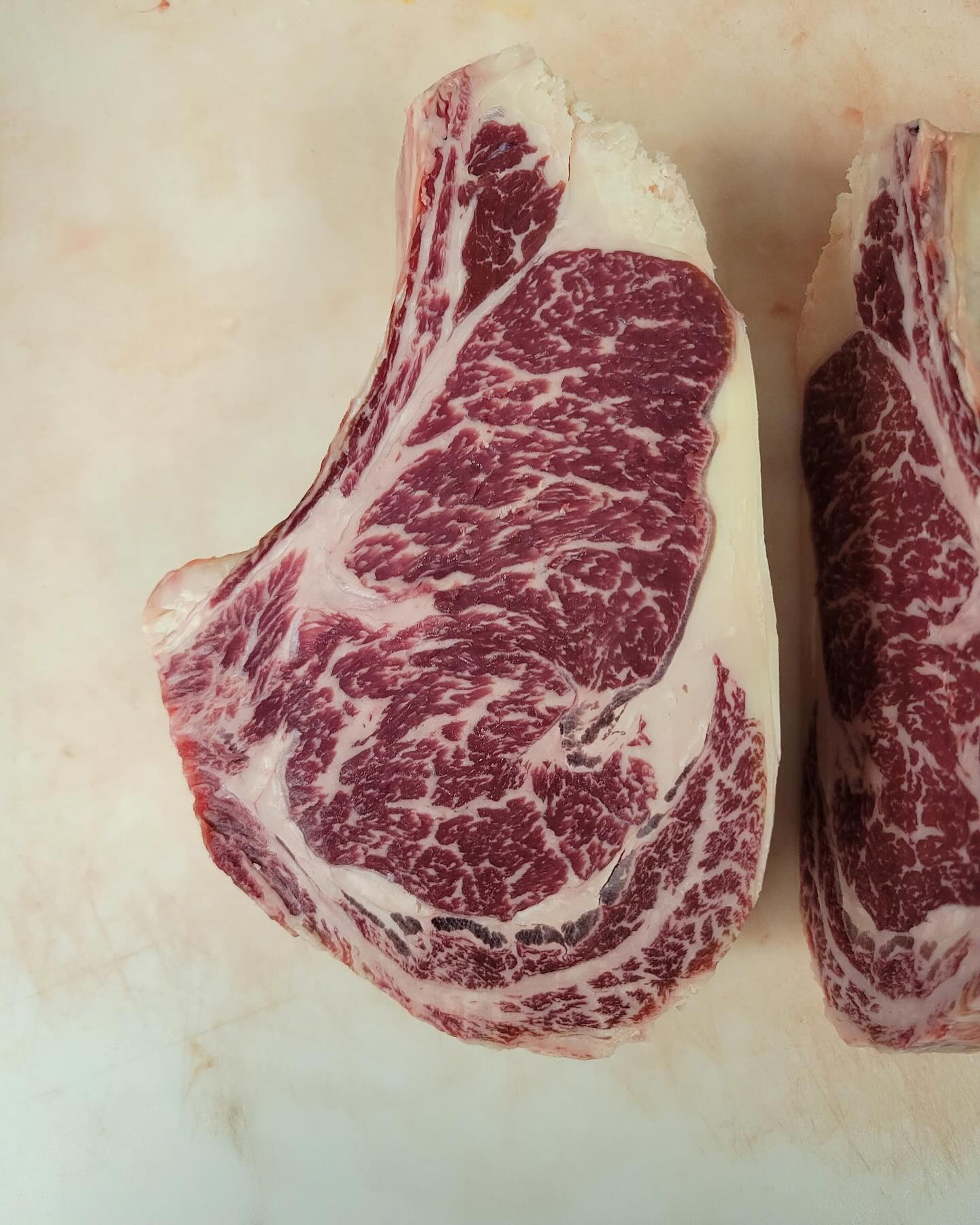 Sired by Escondido 7000E in west Texas. Finished in the Blue Ridge Mountains.
#clintscattle #akaushi #america #virginia #hanenfeeders #salamandermiddleburg