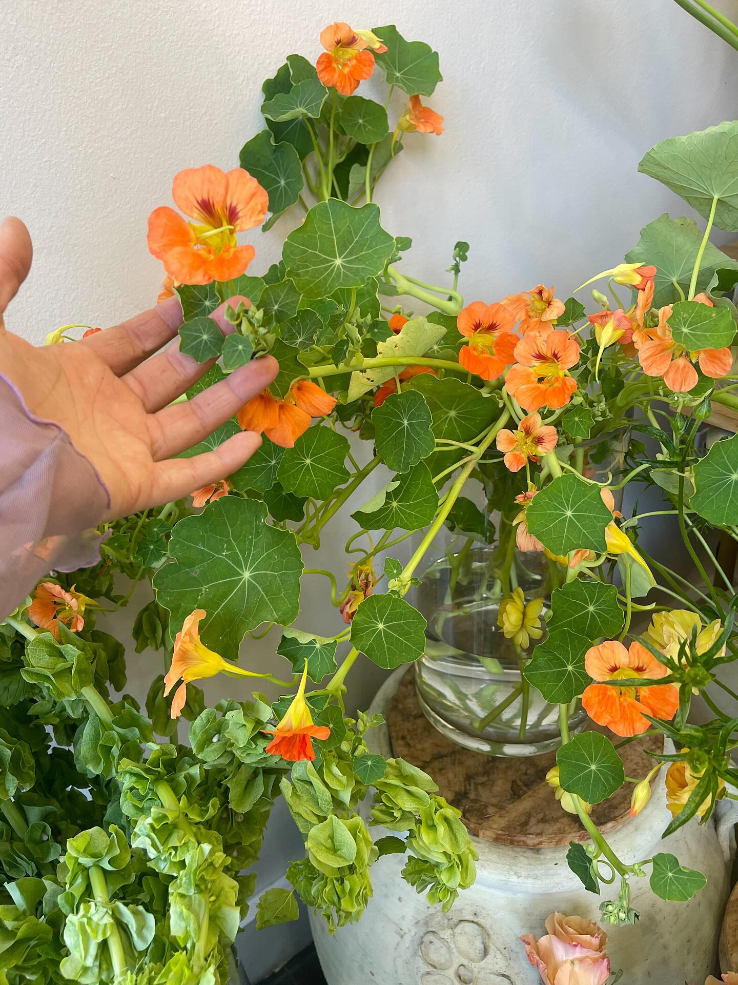 Shape and movement before anything else. These beautiful stems will find their way into our designs — a reminder that the best things in a room feel alive, not over arranged.