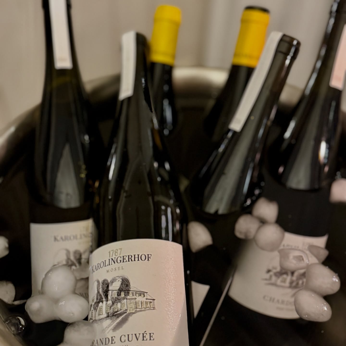 Frühlingsabende genießt man am besten mit einem guten Glas Moselwein.
Unsere Auswahl umfasst unter anderem den ausgezeichneten Karolingerhof Grande Cuvée – Exklusivabfüllung, sorgfältig ausgewählt für genussvolle Momente im Hotel Alte Mühle.
Der perfekte Ausklang nach einem erholsamen Tag in Bad Bertrich.
@HotelAlteMühleBadBertrich
📞 +49 02674 1880
🌐 hotel-altemuehle.de
📍 Bäderstraße 46 · 56864 Bad Bertrich
✉️ info@hotel-altemuehle.de
#HotelAlteMühle #VisitMosel #VisitEifel #BoutiqueHotel #moselwein