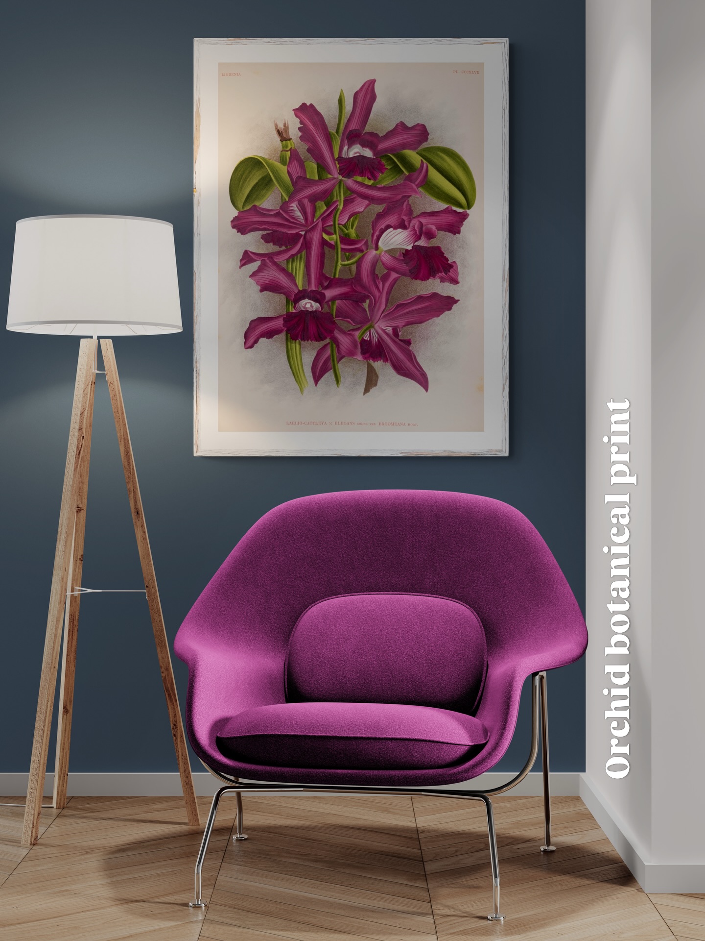 Antique botanical prints for modern living.
The enduring fascination with orchids.
Available as Giclée print only, for customer own framing.
#wallart #décor #greatbritishrevivals