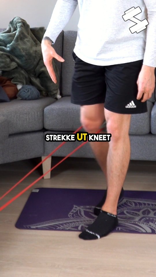 Hater du knebøy? Styrk fremside av lår med denne 🔥🙌 #hjemmetrening #treninghjemme #beinøvelse