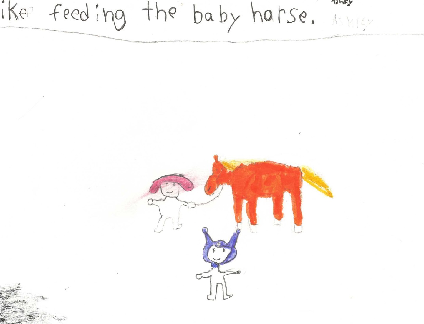Spring break sees fun guests come to visit our barn and learn about horses.
Our visitors also made wonderful drawings of what they liked most about being with horses!
What is your favourite part about being around horses?