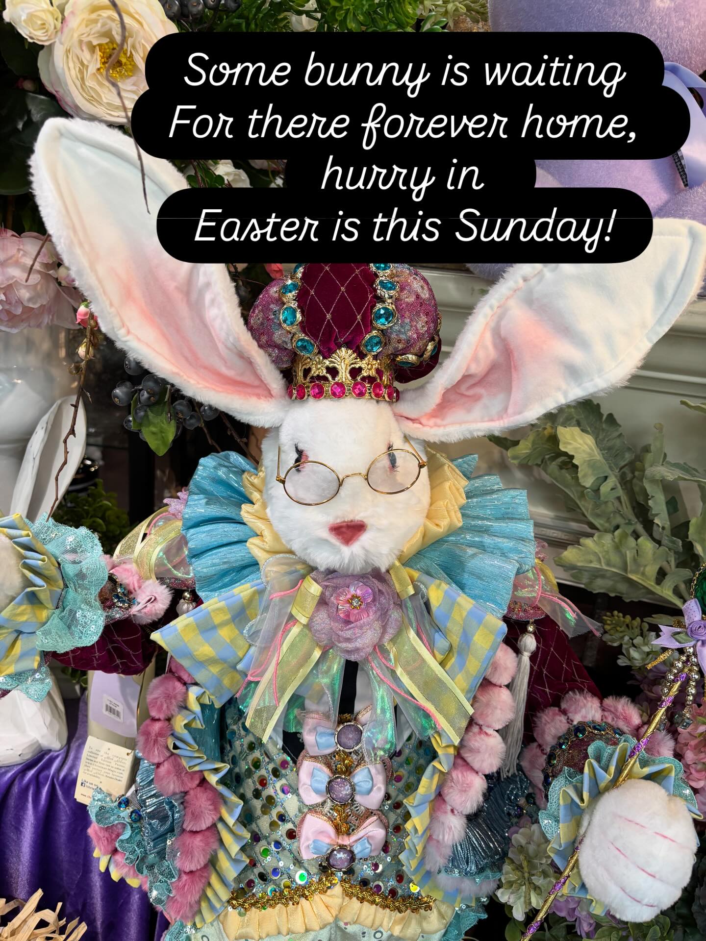 The Easter bunny is coming, are you ready? We have bunnies, waiting for their forever home. ,#easter ,#bunnies ,#floral ,#shoplocal ,#livermoredowntown