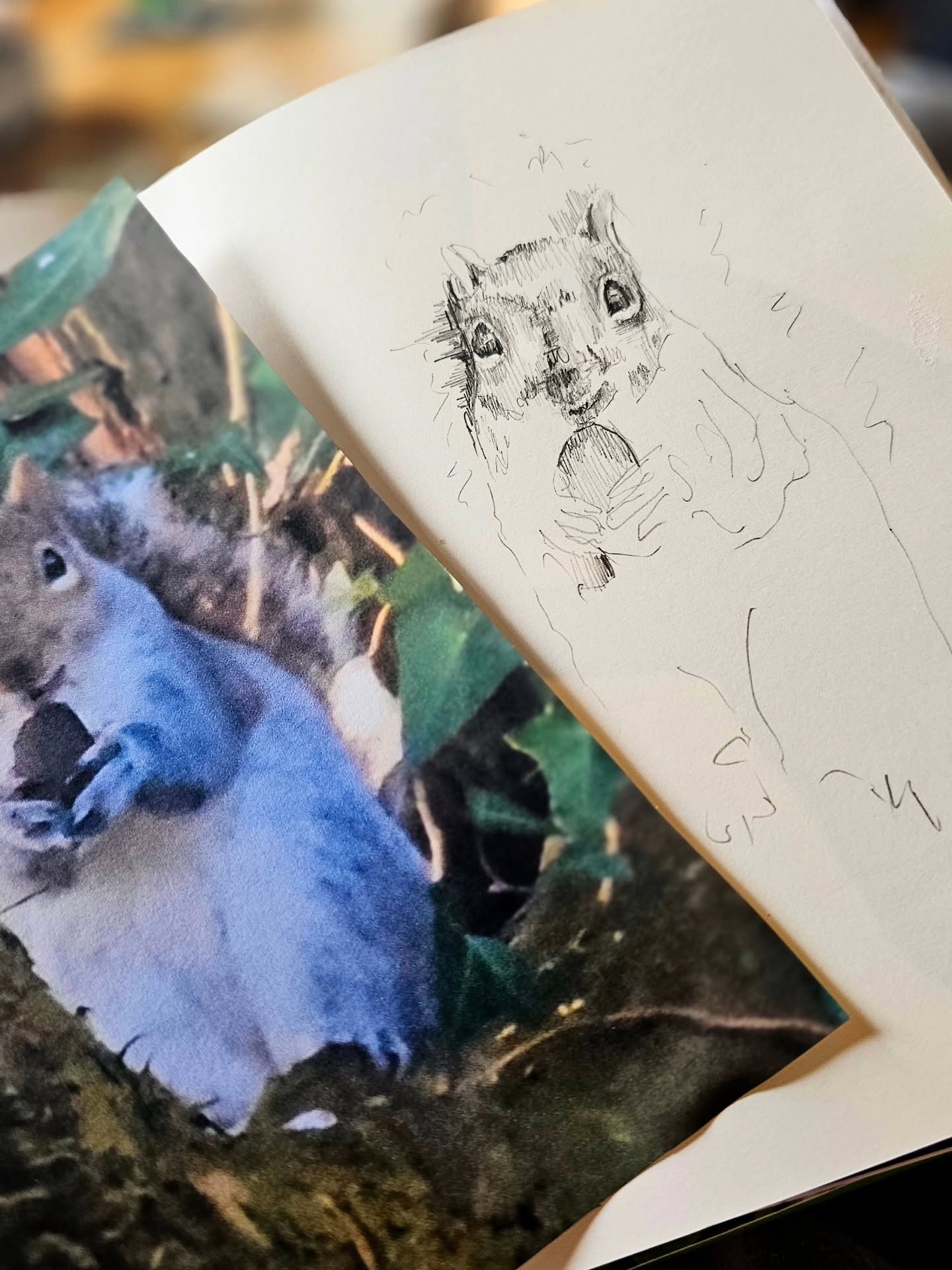 Watching Nature
๐ฑ I just witnessed this little grey squirrel root around my garden for nuts he (or she) buried back in the Autumn. He then jumped up on the branch to enjoy his feast giving me a chance to video him. Love them or hate them they are still fascinating to observe.
๐ฑ Here's the beginnings of a preliminary sketch which in time will lead to large wood art.