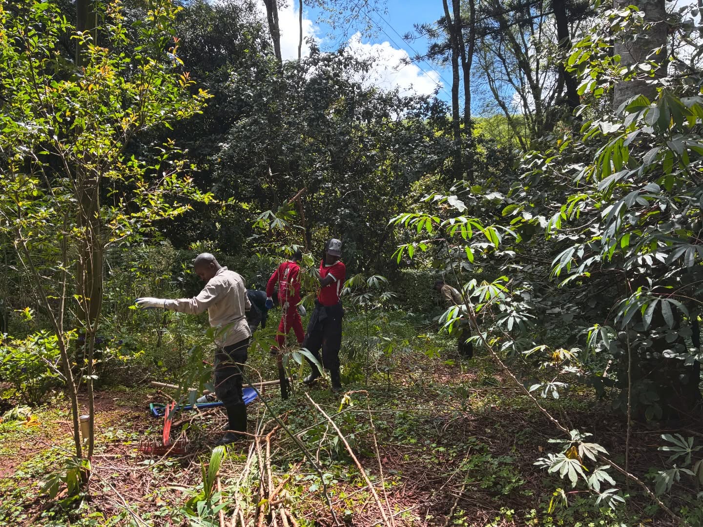 Pretty strong second session building on yesterday’s key takeaways, while moving deeper into practical solutions the group at @wajukuuarts can continue to apply and adapt at their own site.
What feels especially meaningful is the opportunity to bring these ideas to life on this current site and working together to transform part of the space into a functional, productive kitchen garden. It’s in this hands-on process that everything begins to connect 👀.
Having explored soil health at length and spent time observing and reading the land, the group is now in a much stronger position to implement strategies that are not only practical, but responsive to the space itself in our next few sessions 🐝