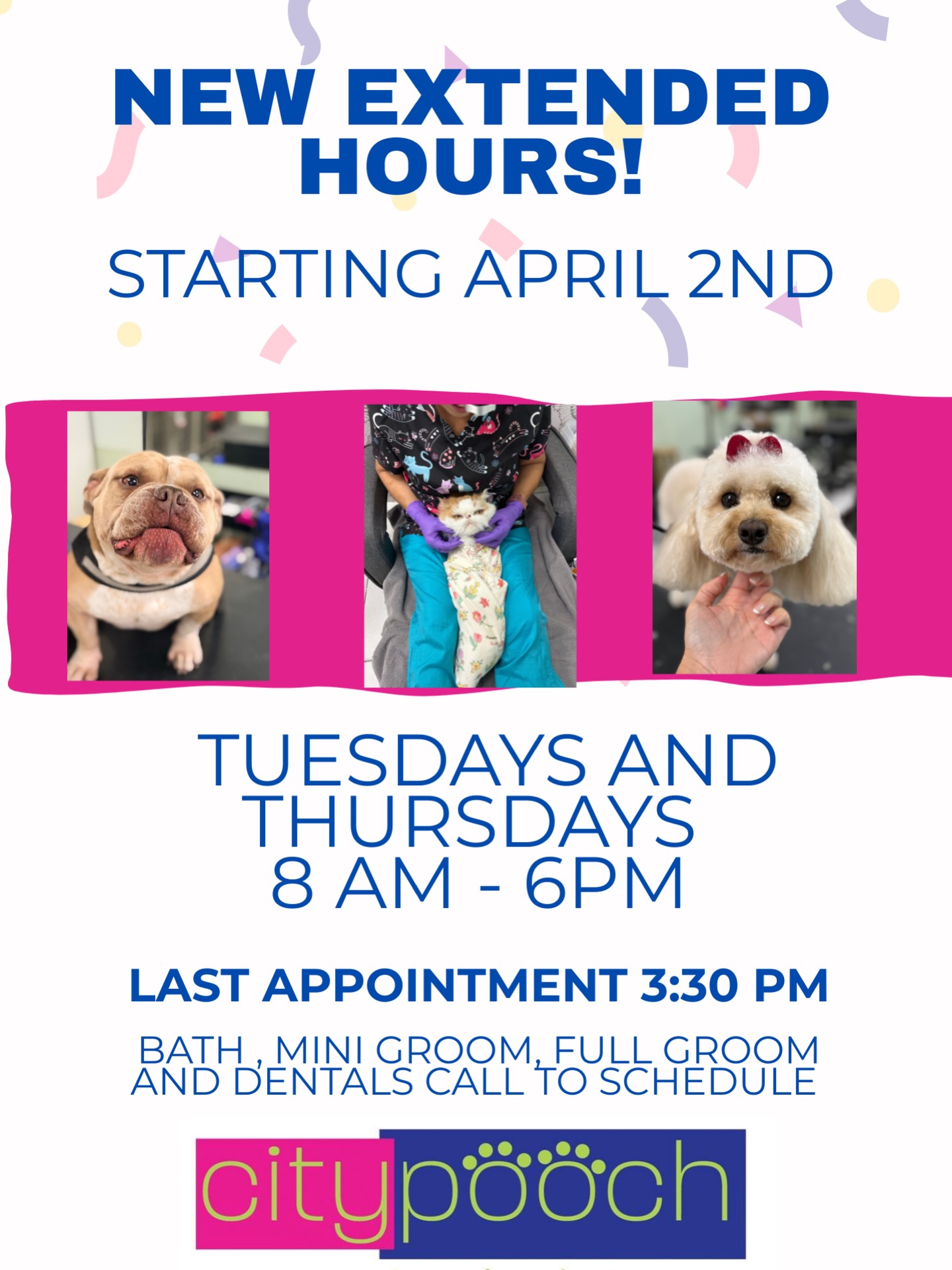Hi City Pooch Fam 👋 You asked and we listened! We will offer two days of the week with Extended Hours ⏰ Tuesdays and Thursday we will be open 8am - 6pm with last appointment of the day at 3:30pm. All our services will be available including our Dental cleaning 🦷🪥 📲 Call and schedule today , these appointments will go by fast 💨