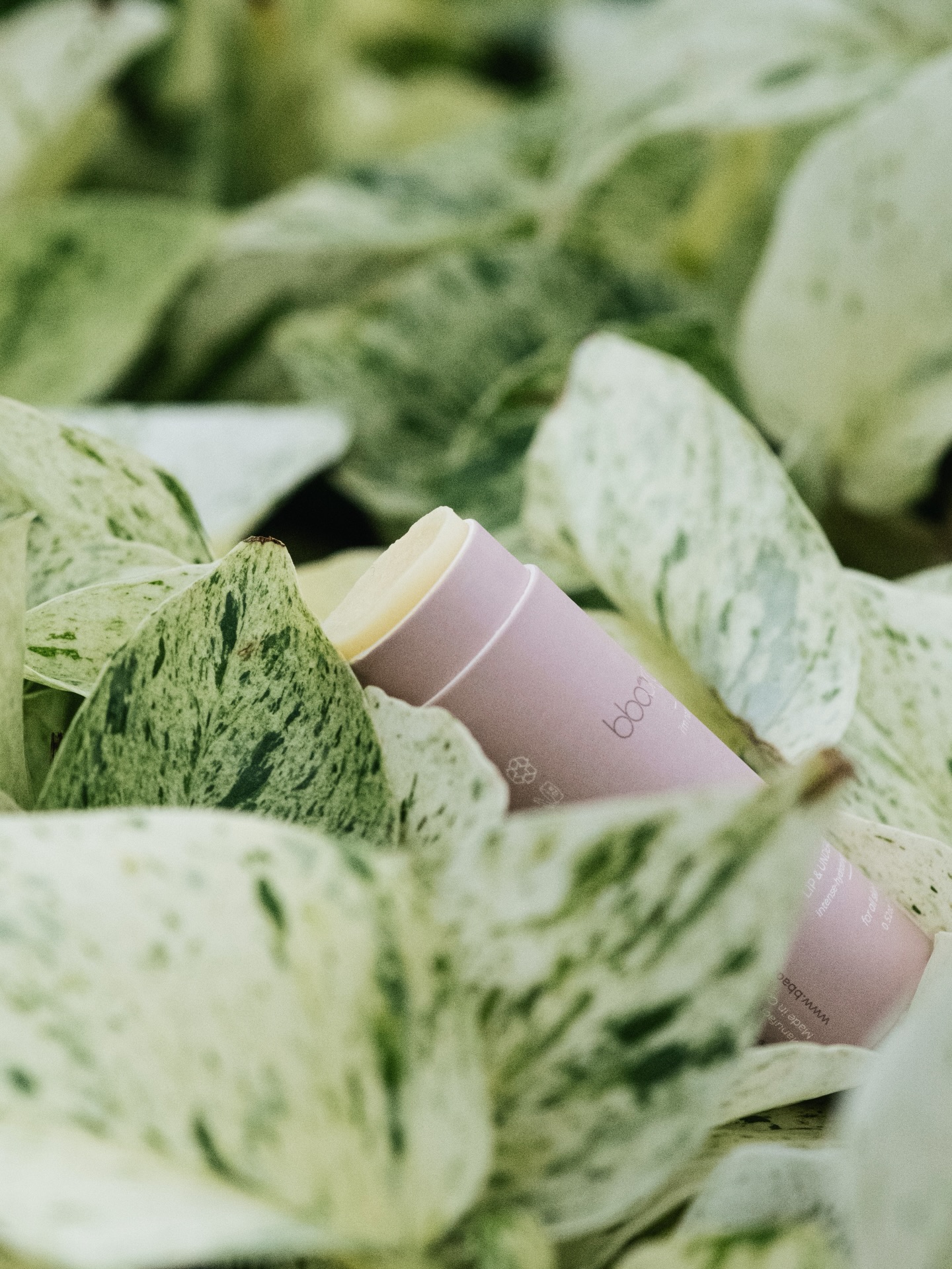 •macadamia in lip & undereye balm•
macadamia oil is a powerhouse in skin science thanks to its unique fatty acid profile and nutrient‑rich composition, this lightweight oil closely mimics the skin’s own natural oils, making it deeply nourishing without clogging pores 🌱
it’s especially effective for delicate areas like lips and undereyes where the skin is thinner, more fragile, and prone to dryness and moisture loss 💦
macadamia oil is packed with monounsaturated fats, antioxidants, and barrier‑supporting molecules that help restore hydration, calm irritation, and protect against early signs of aging
in lip & undereye balm:
• deep hydration boost: rich in oleic and palmitoleic acids, it penetrates quickly and helps lock moisture in where it’s needed most, reducing dryness and flakiness
• skin‑like lipid mimicry: its fatty acid makeup resembles human sebum, supporting the skin’s natural lipid barrier and improving suppleness
• antioxidant protection: contains vitamin E and squalene, which help neutralize free radicals and guard against environmental stressors that can accelerate fine lines
• anti‑inflammatory & soothing: naturally calming for sensitive or irritated skin around the eyes and on lips, helping reduce redness and restore comfort
• supports barrier function: promotes skin repair and resilience, essential for areas prone to dryness and early signs of aging
tell us your favorite way to use macadamia‑rich balms below and tag someone who needs this in their routine!