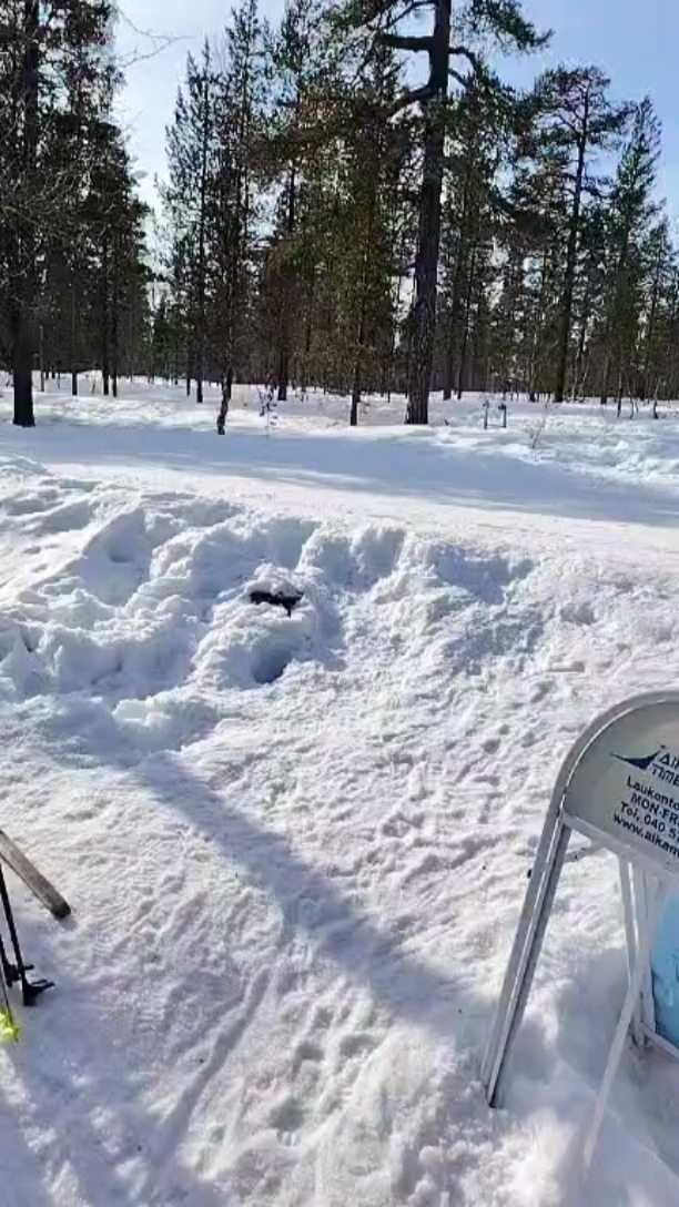 Livelähetystä Mettäbaarista 8.4.!