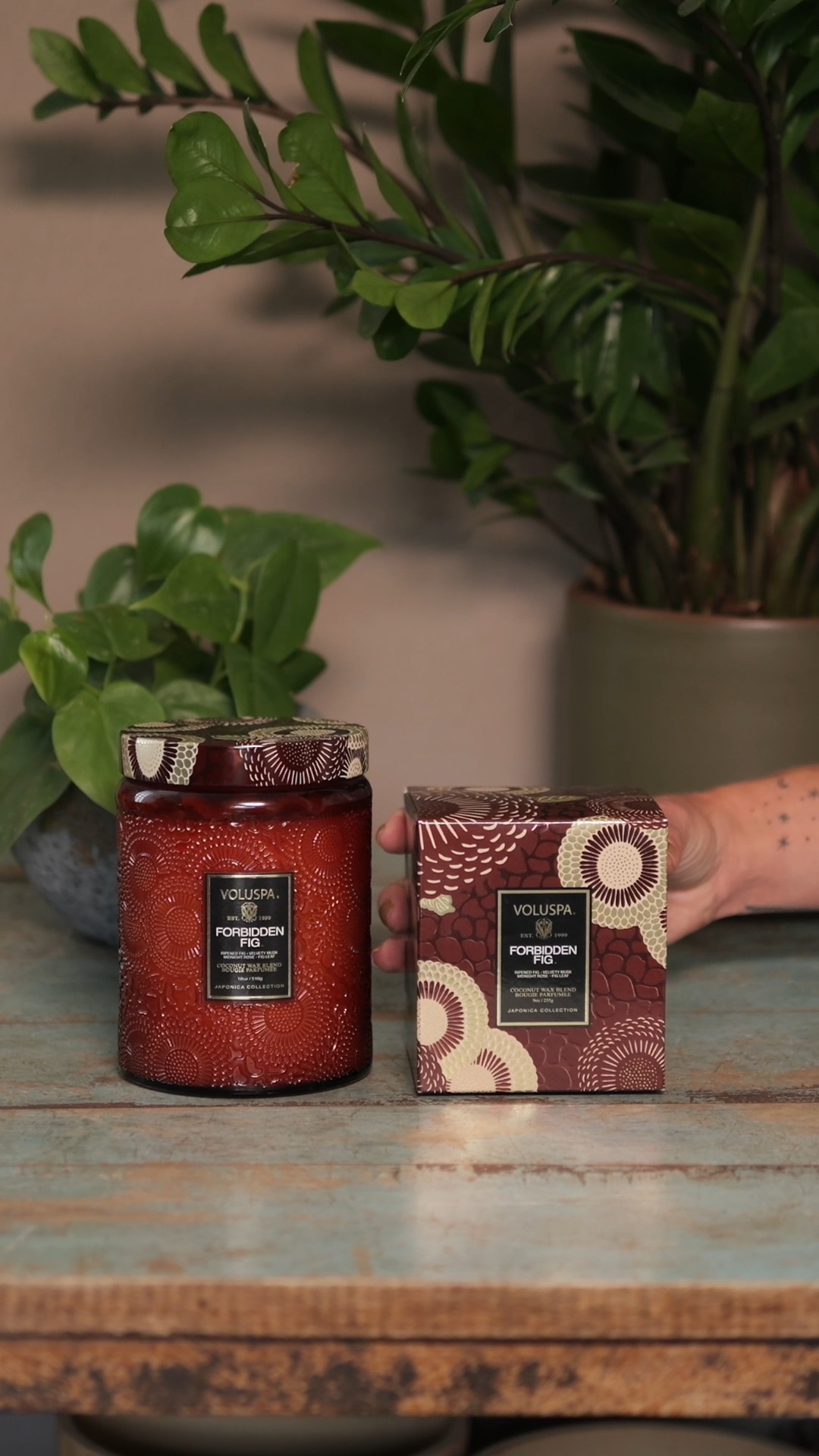 A fragrância certa transforma o ambiente sem esforço ✨
As velas Voluspa trazem composições sofisticadas, que envolvem o espaço e criam uma atmosfera mais acolhedora, com presença e sutileza.
Durante a promoção, itens da nossa curadoria estão com 30% de desconto. Uma oportunidade para levar para casa aromas que fazem diferença no dia a dia.
Fale com a gente pelo WhatsApp e confira as opções disponíveis.
#anniverdi #velasvoluspa #aromasparacasa #decoracaocomalma #curadoriaanniverdi