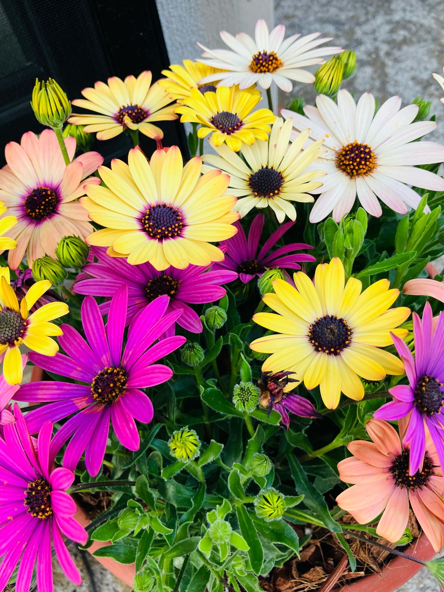 2026.03.28
もうすぐ春ですね🌸
#会津建物管理
#あいたて
#タイヤ交換
#お花
#春の訪れ