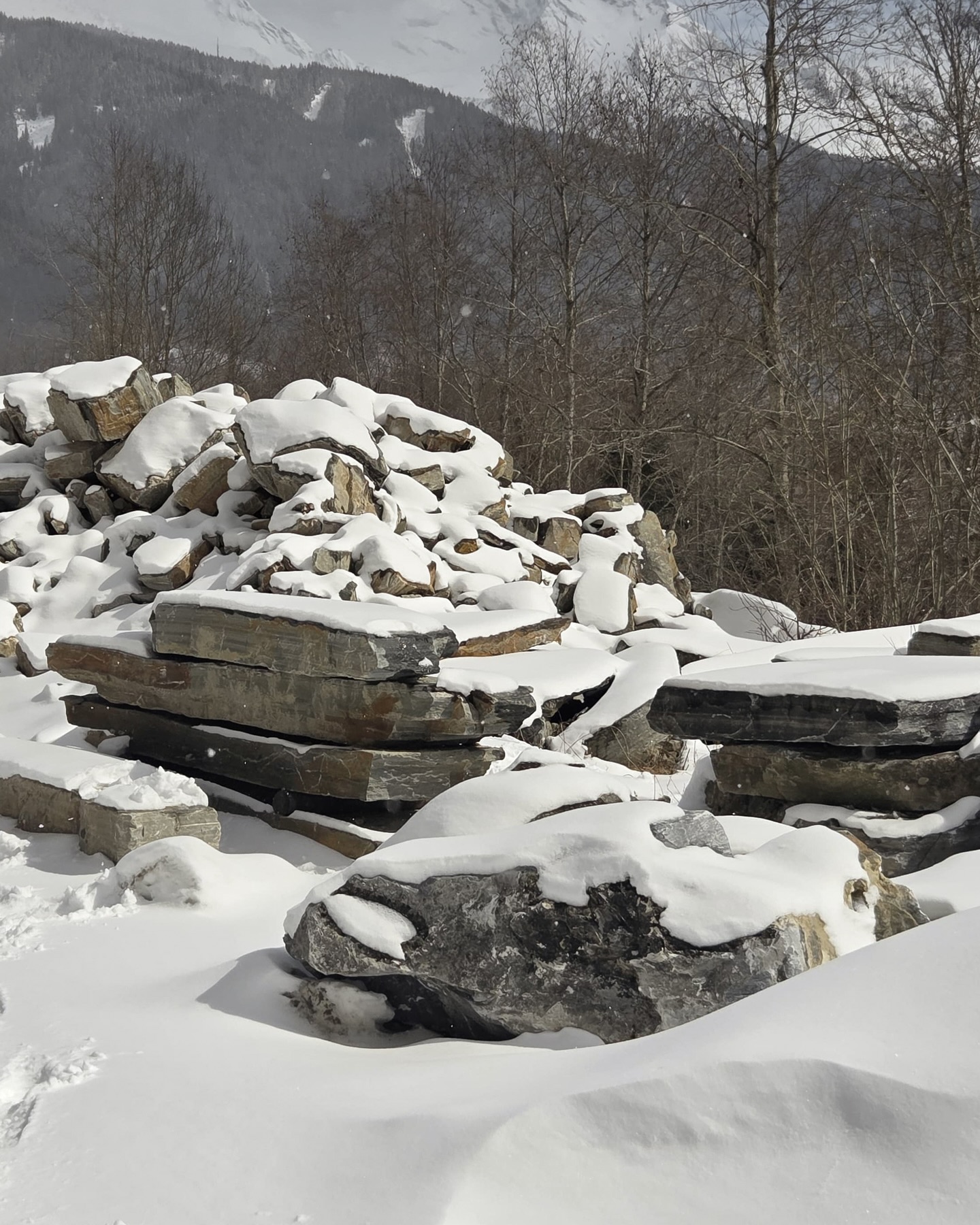 Zu Besuch bei unserem Natursteinlieferanten im Steinbruch ⛰️
Hier beginnt vieles von dem, was später im Garten Form annimmt. Jeder Stein ein Unikat – geprägt von der Region, aus der er kommt. Kurze Wege, ehrliches Material und echte Qualität aus der Umgebung sind für uns die Basis jeder Gestaltung. So entstehen Gärten mit Charakter und einem starken Bezug zum Ort 🌿
#naturstein #steinbruch #regional #gartengestaltung #landschaftsbau