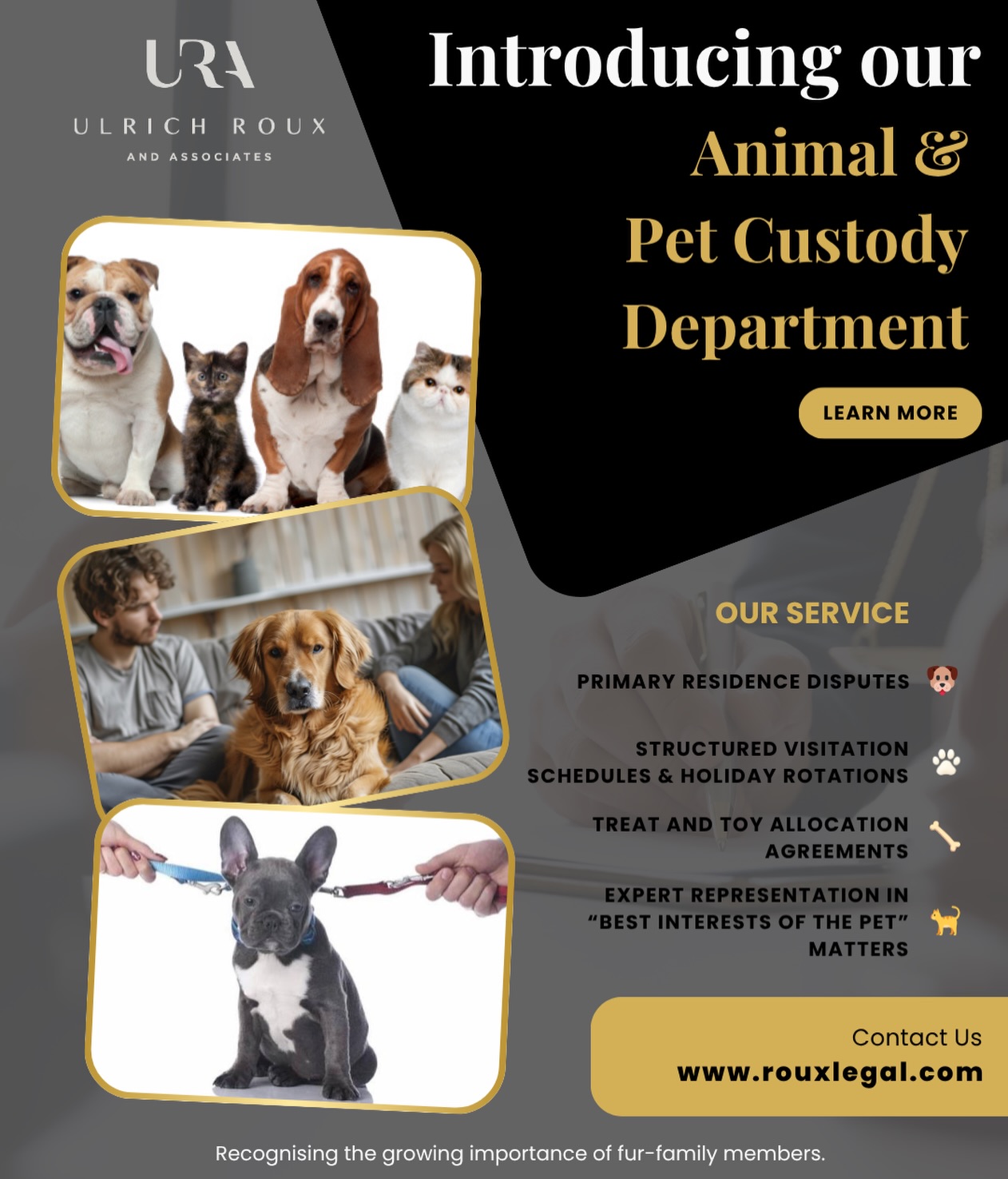 📣 BIG NEWS 📣
We are proud to announce the launch of our new department 🐾
Recognising the growing importance of fur-family members, our team will now be assisting clients with structured visitation schedules, pawrenting plans and primary residence disputes (favourite human status pending) 🐶🐱🐴
#TailsOfDivorce