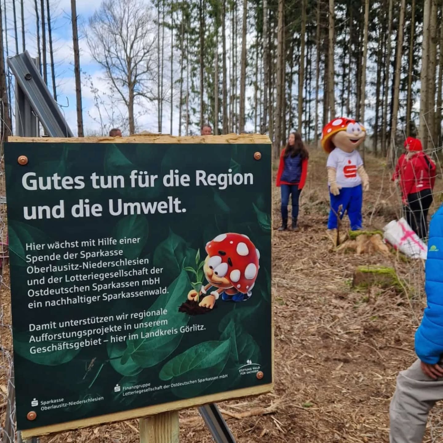 Ja, auch Catering im Wald können wir😅, weil Bäume pflanzen fetzt. Die Fleißmeisen von der Sparkasse Oberlausitz-Niederschlesien haben gerackt und wir ham verköstigt. Teamwork halt...und alles für die liebe Mutter Natur💚
#gemeinsammachtesmehrspaß #stiftungon #naturliebe❤️ #draussenanderfrischenluft #machenstattlabern