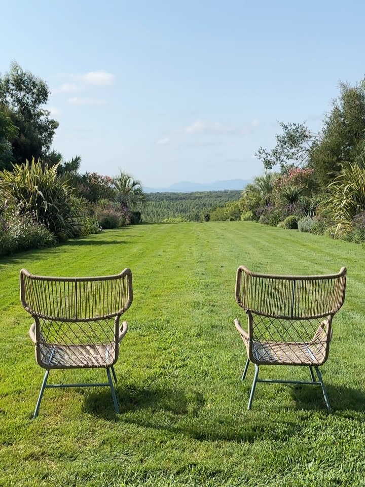Lorsque la vue sur la montagne et le paysage est omniprésente c’est elle qui décide de l’orientation du jardin
🌱C’était en haut du champ qu’elle était la plus spectaculaire et c’est tout naturellement que m’est venu l’envie d’y créer une longue perspective ouverte à perte de vue sur les Pyrénées
🌱enserré par les grands eucalyptus les massifs symétriques offrent une ambiance méditerranéenne composés de phœnix canariensis dactyliphera et theophrastii
🌸les rosiers y tiennent également une place importante : sourire d’orchidée, Pénélope, sénateur lafolette…
#rosier #jardin #plantslovers #gardening #gardendesign