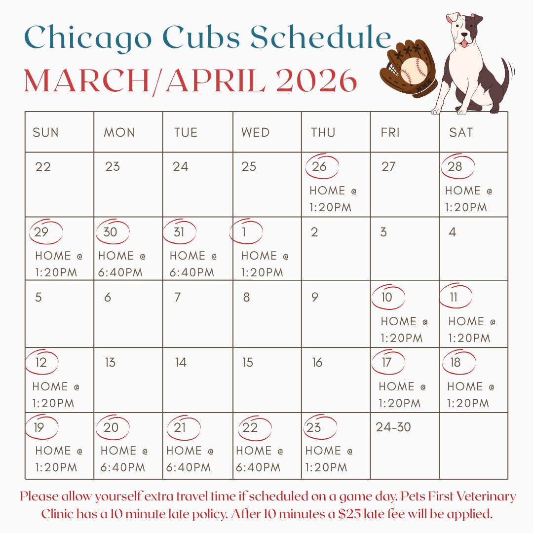 It's that time of year again! Don't forget next Thursday @ 1:20pm is the Cubs home opener. Please prepare yourself for crowds, traffic, and parking roulette!
We will do our best to accommodate every patient's needs, but a late fee will be applied to any appointment 10 minutes or later. Thank you for your understanding and patience :)